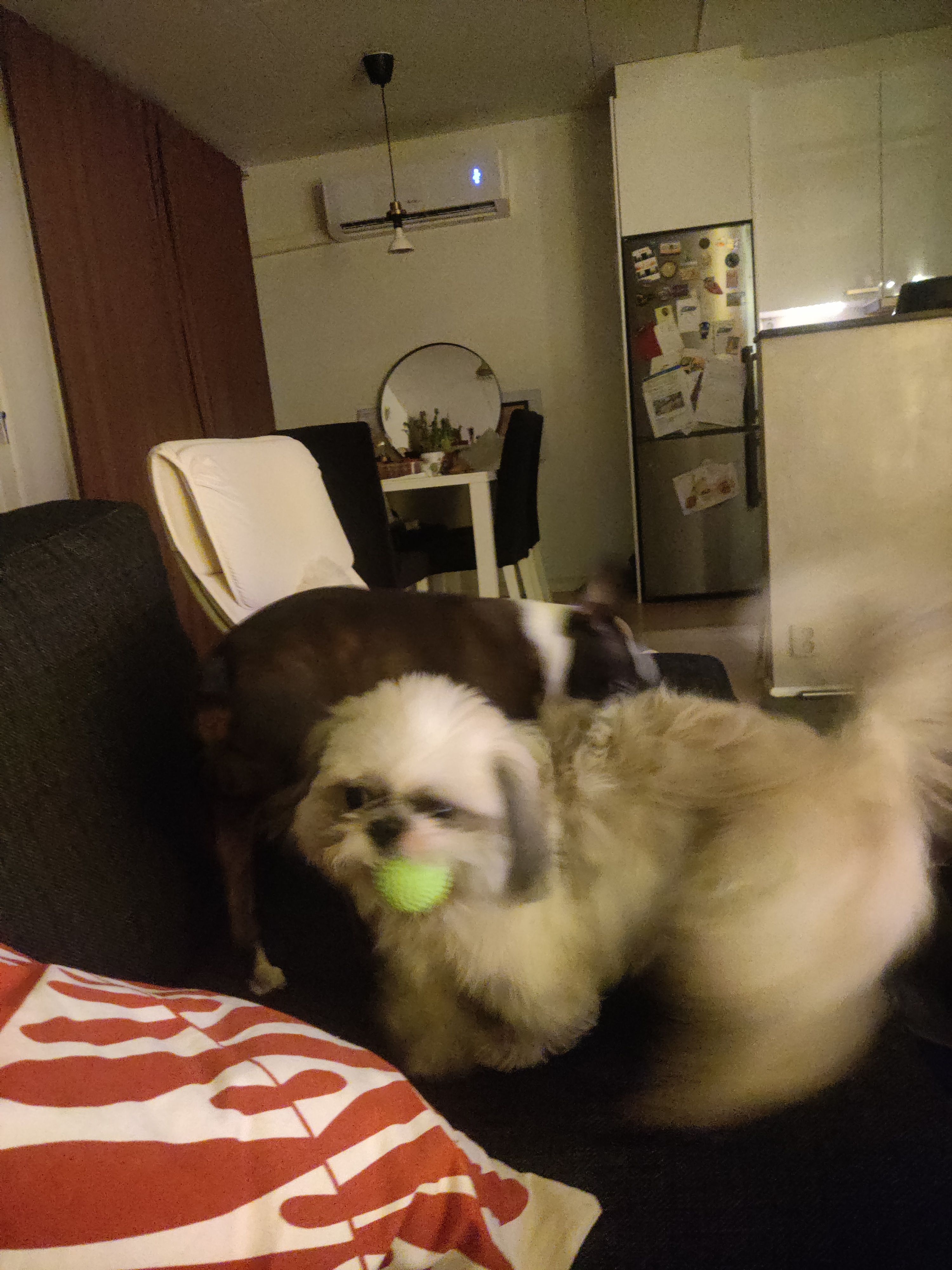 image-14