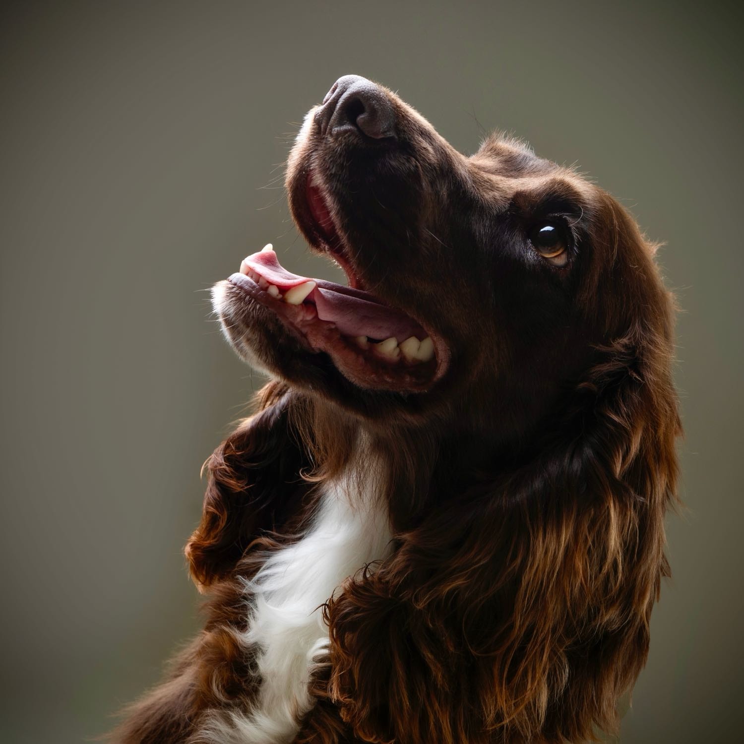 Marley