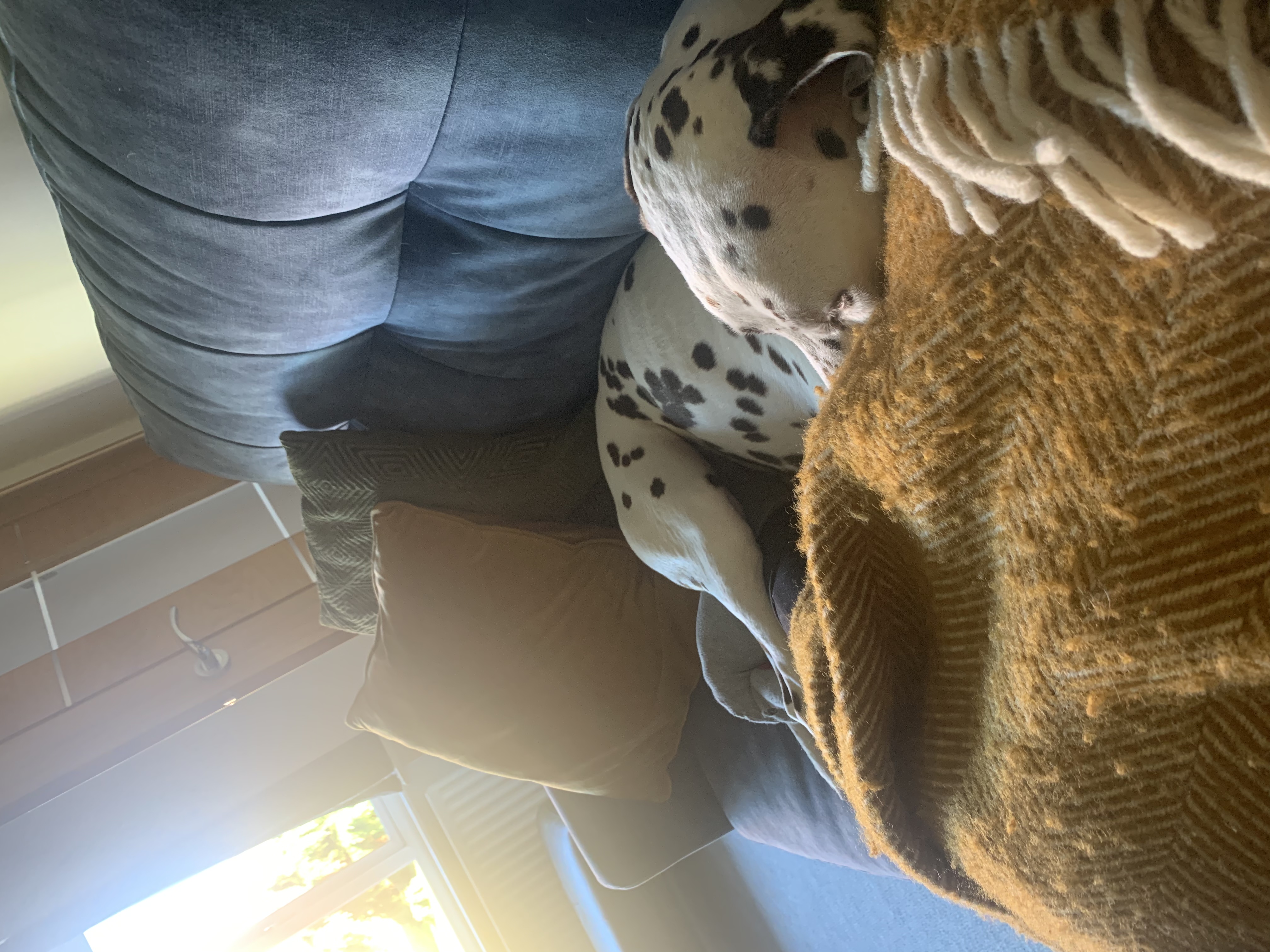 image-13