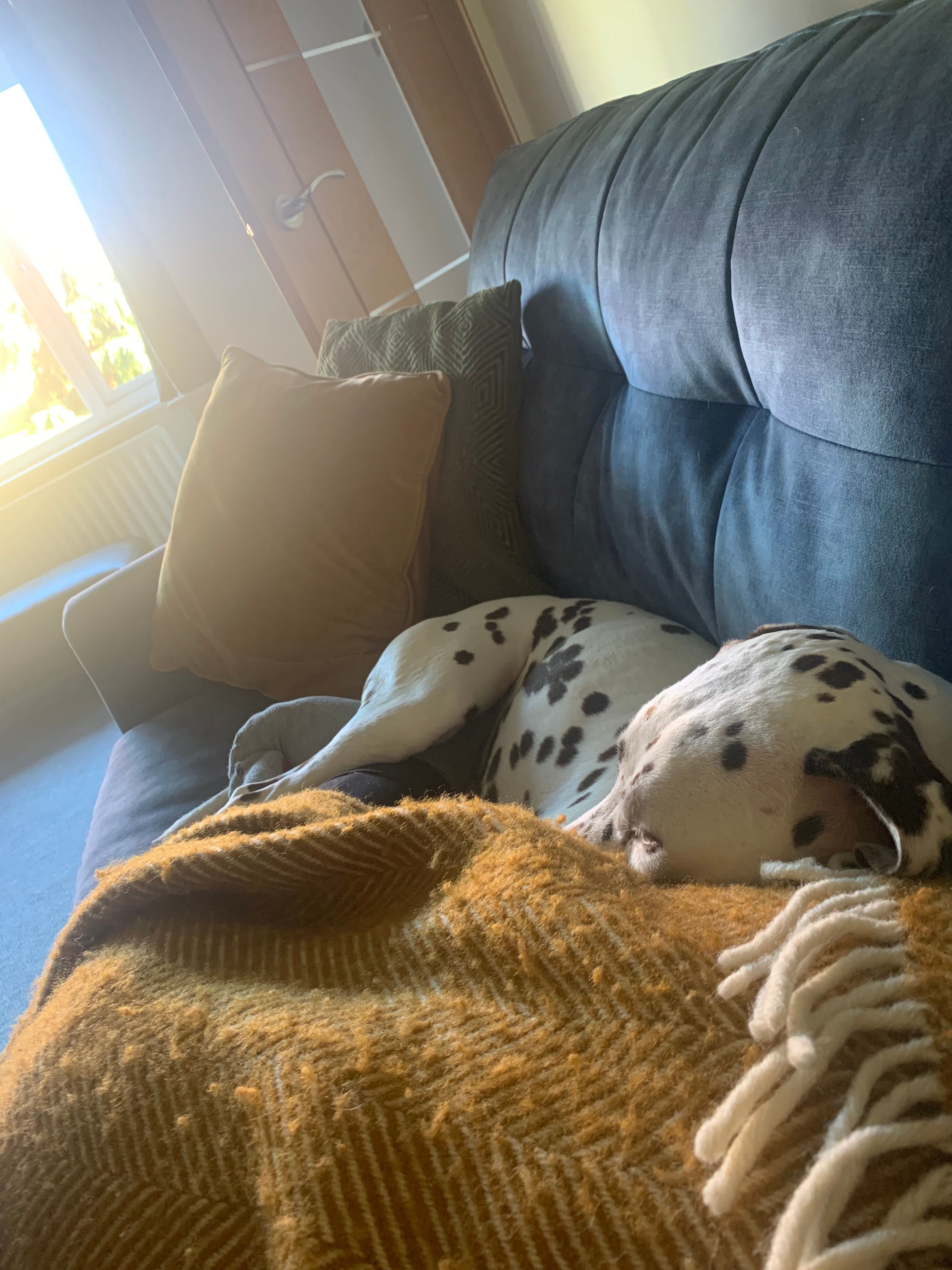 image-13