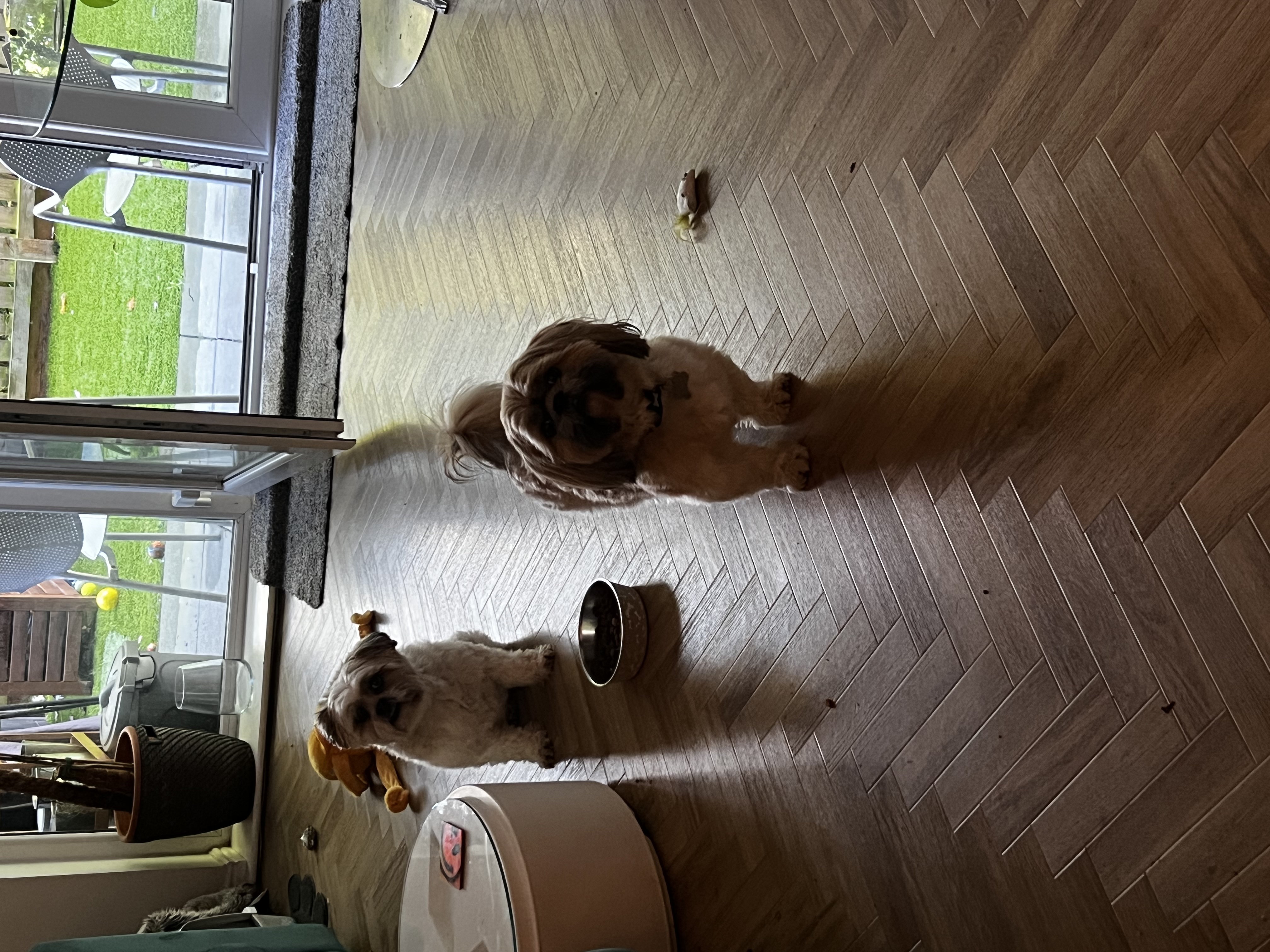 image-8