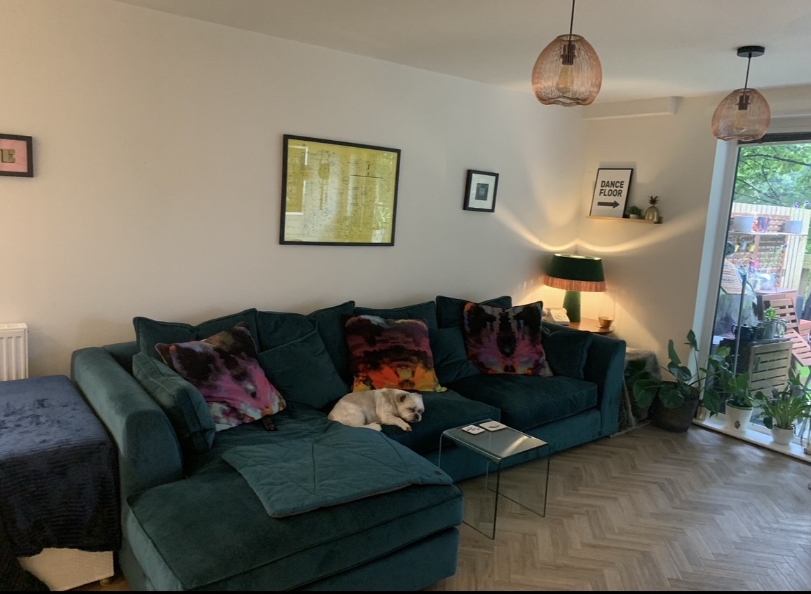 image-14
