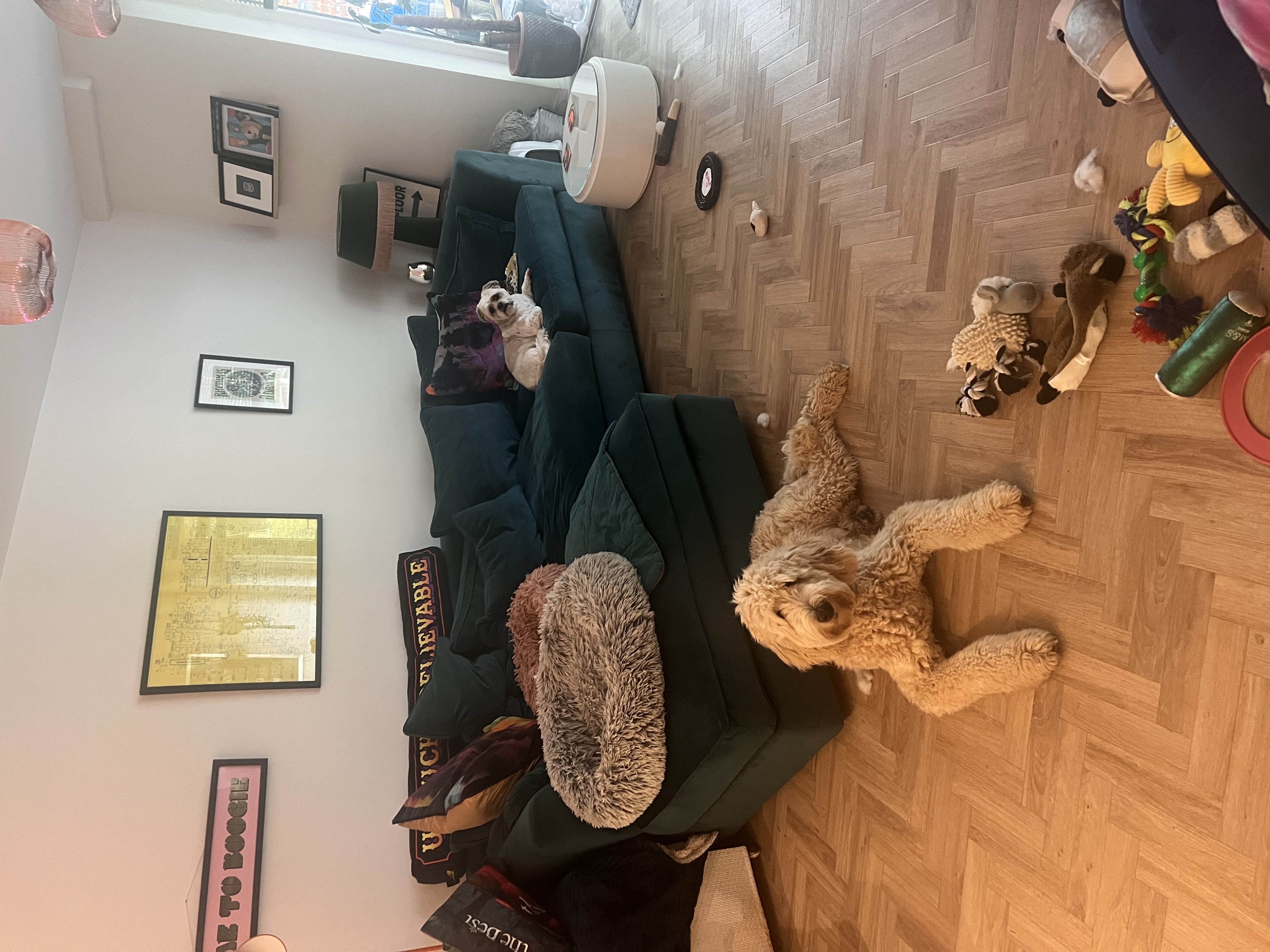 image-7