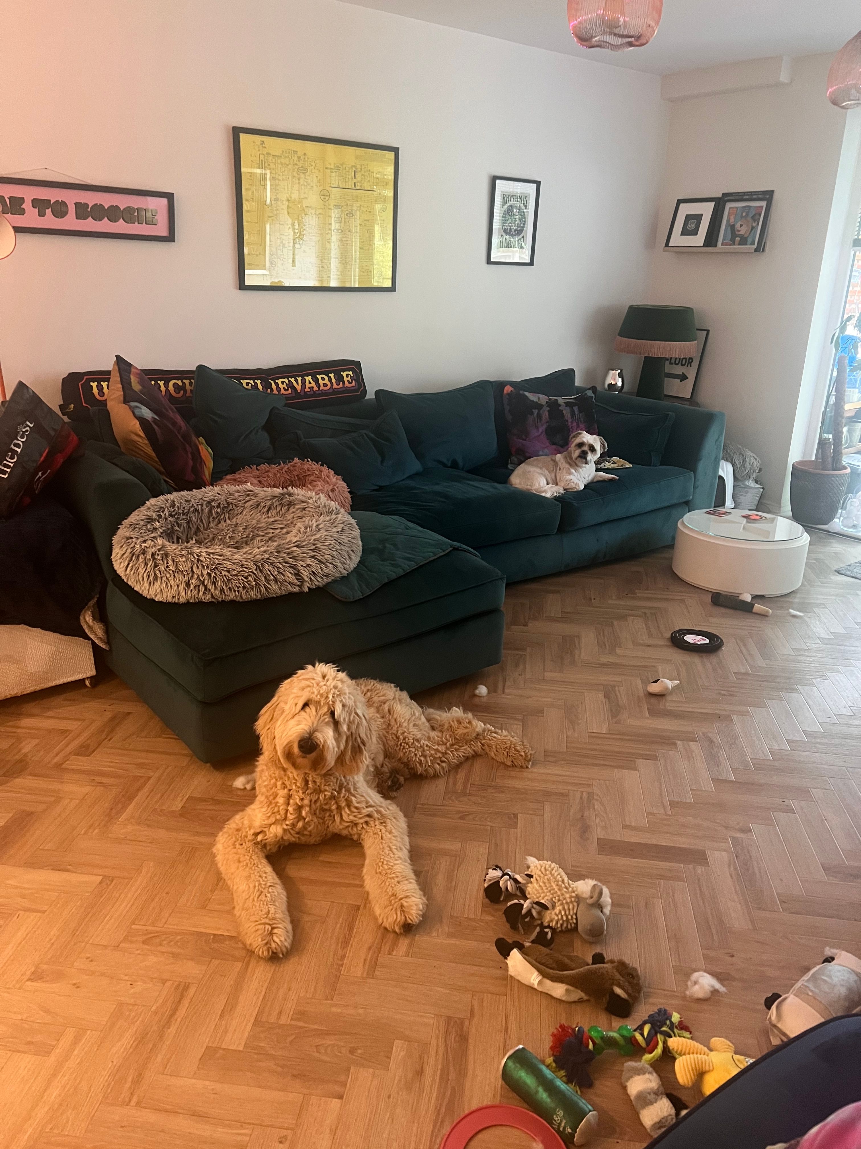 image-7