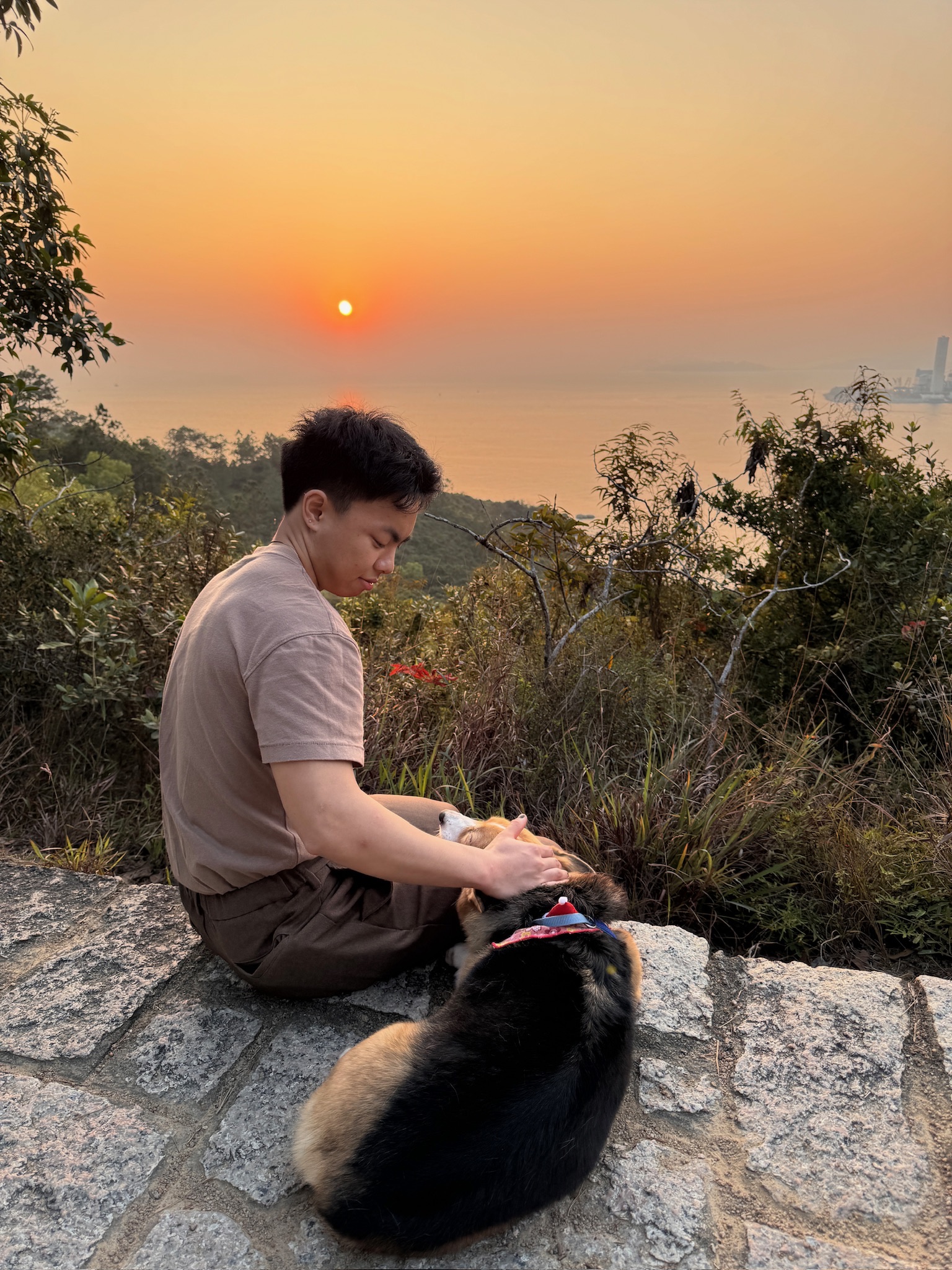 image-5