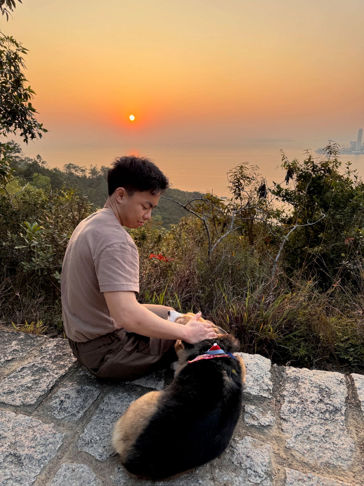 image-5