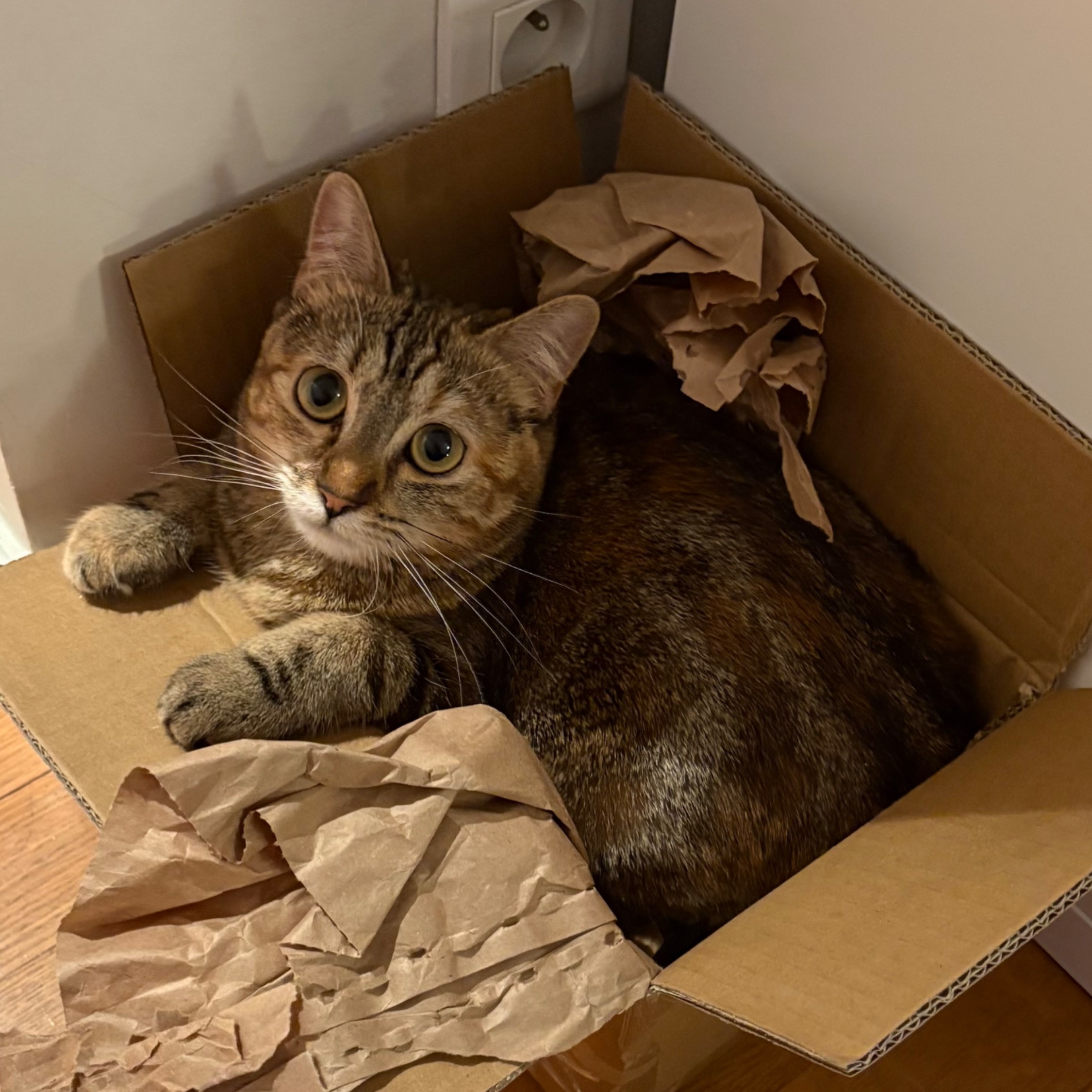 Kiara
