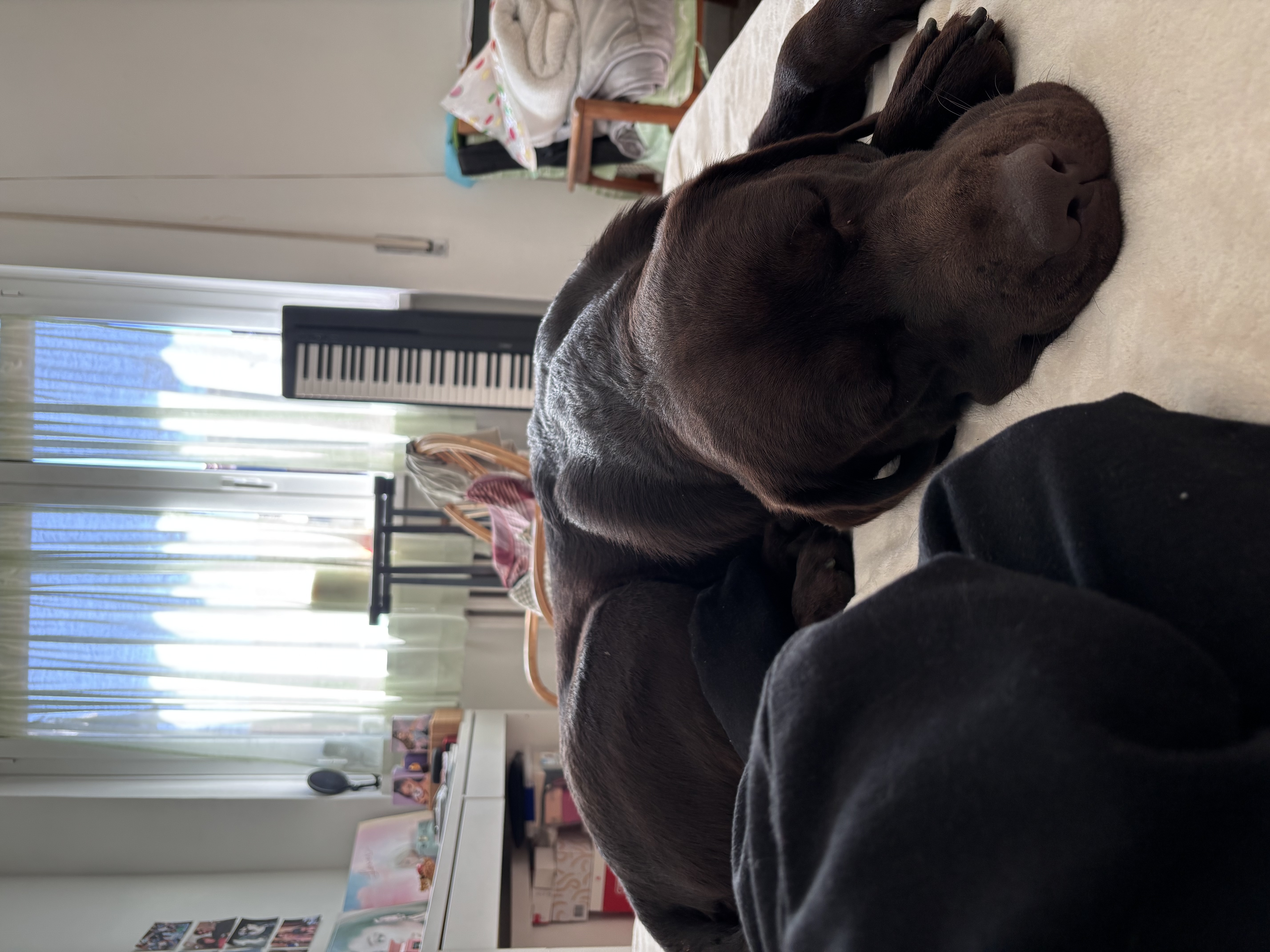 image-7