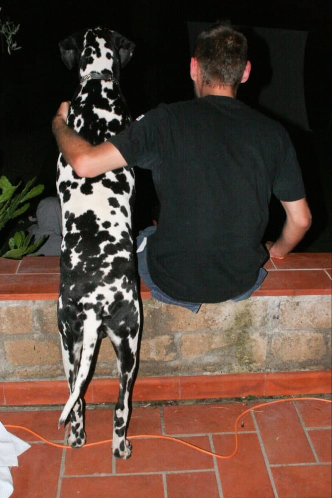 image-21