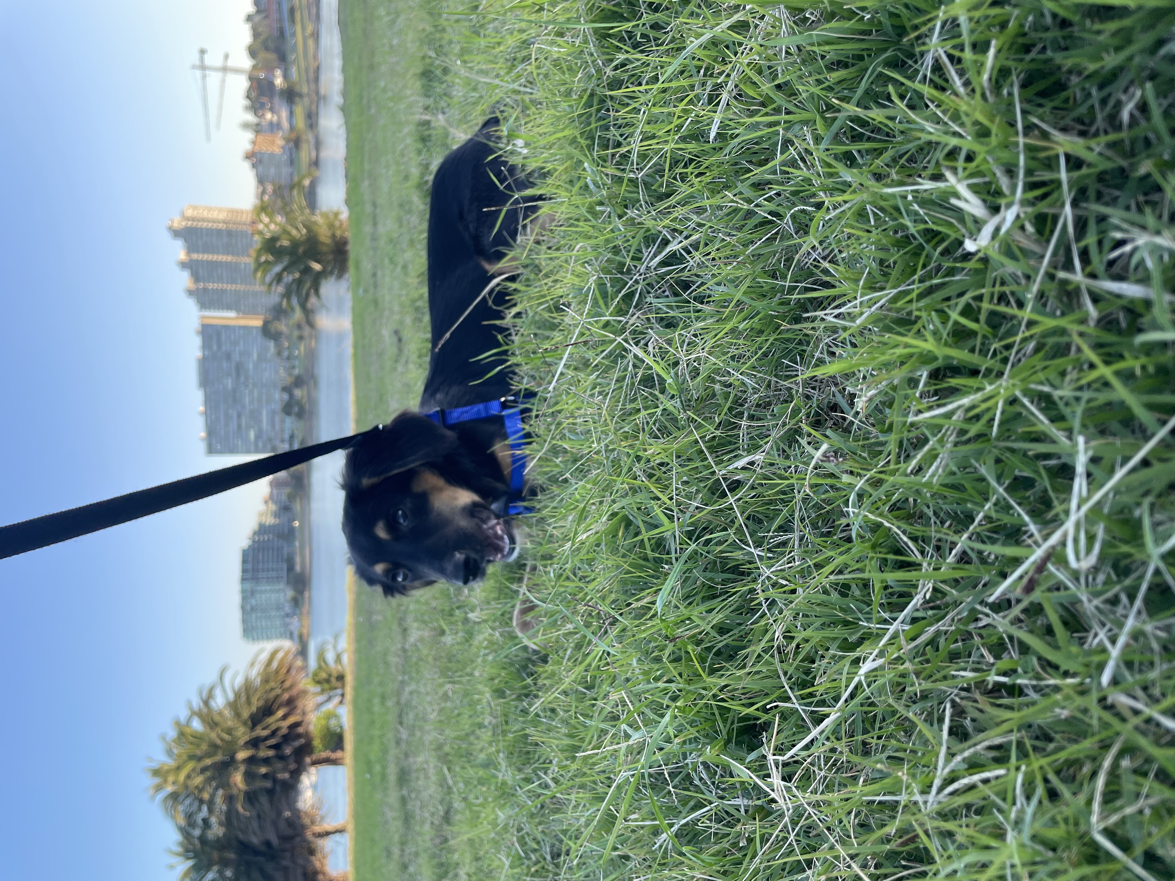 image-4