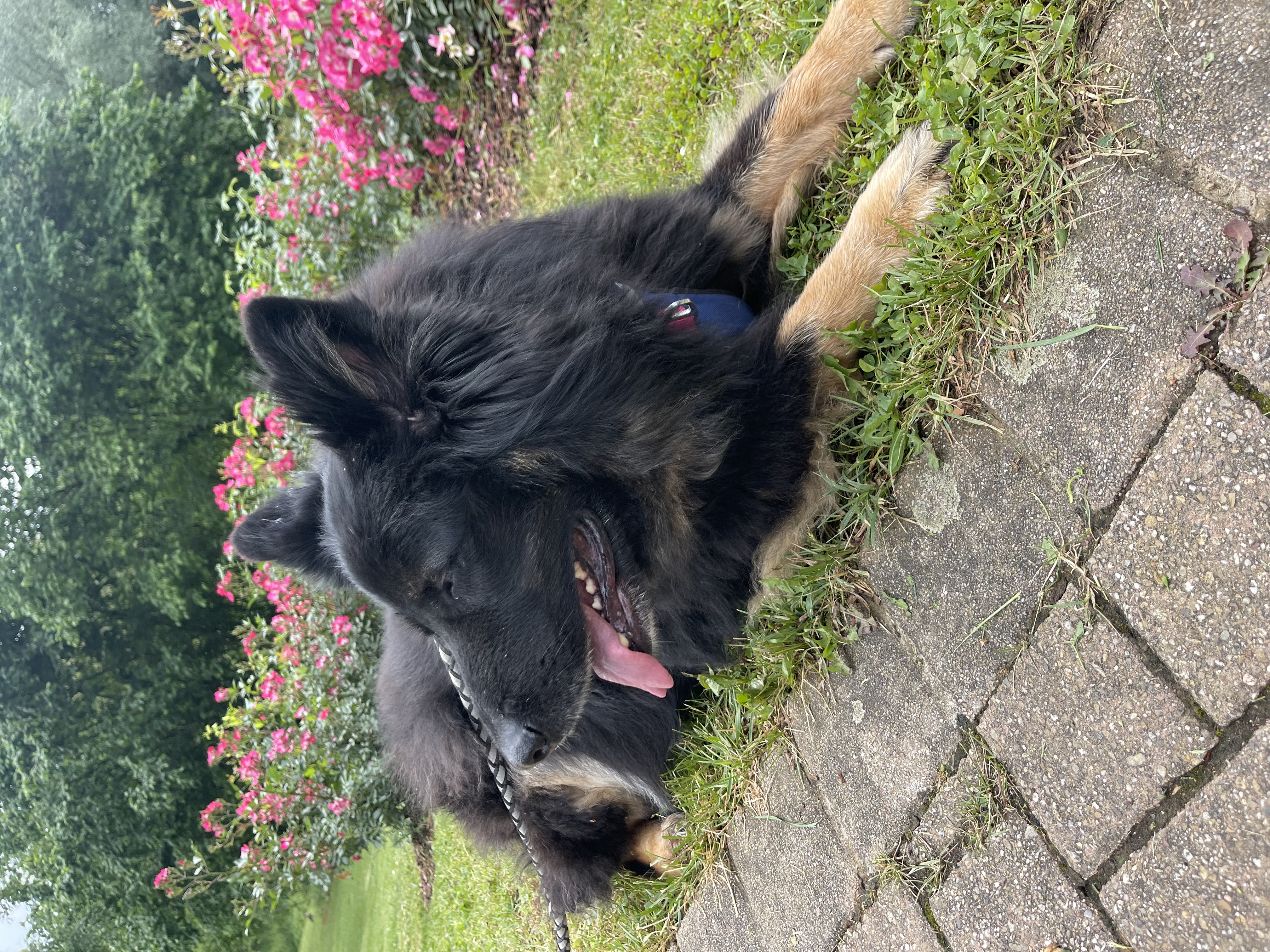 image-6