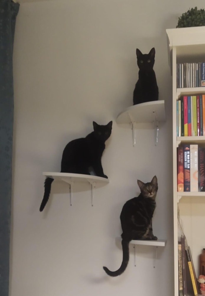 Amardo, Teleia en Azraël 