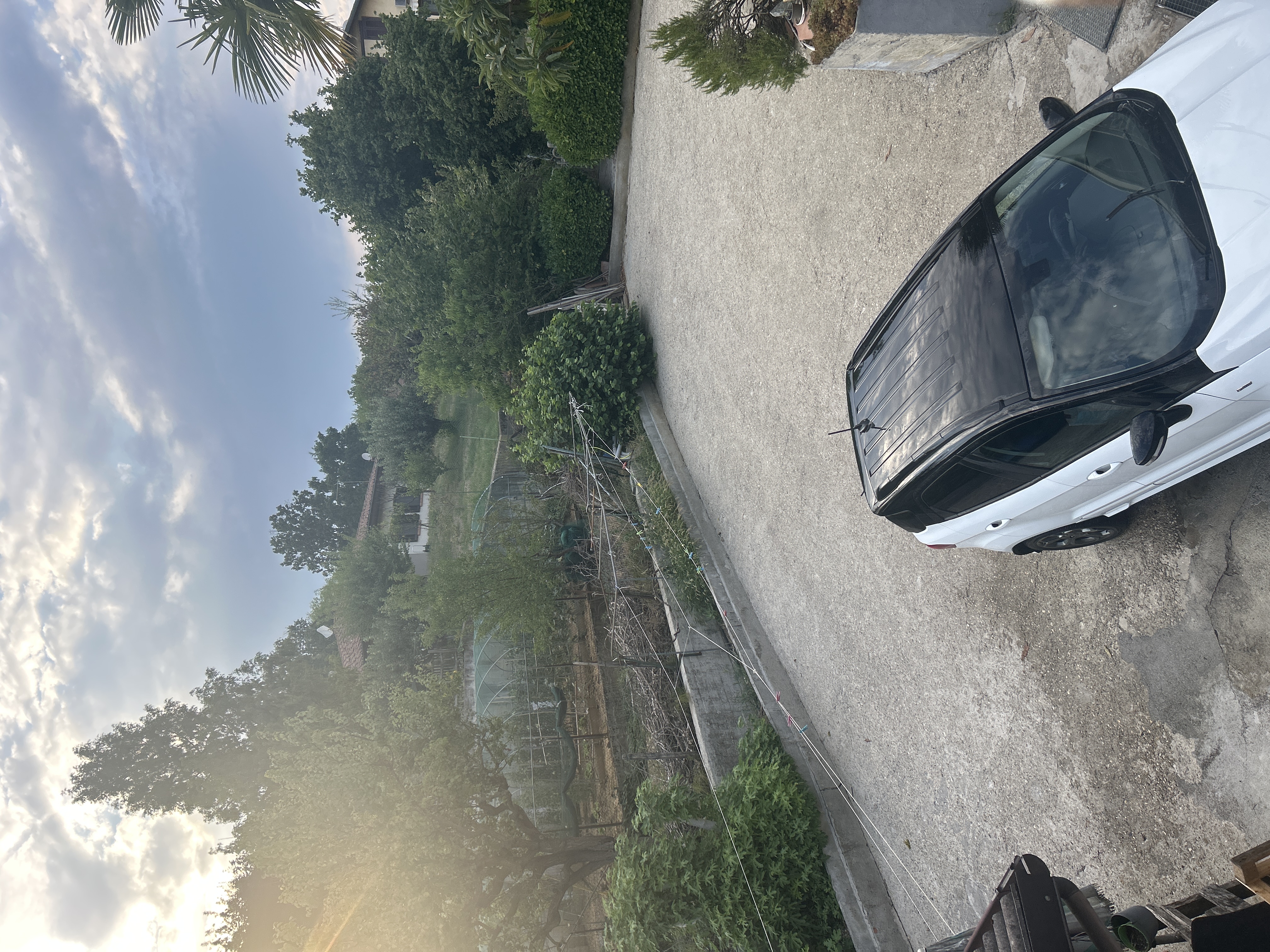 image-19