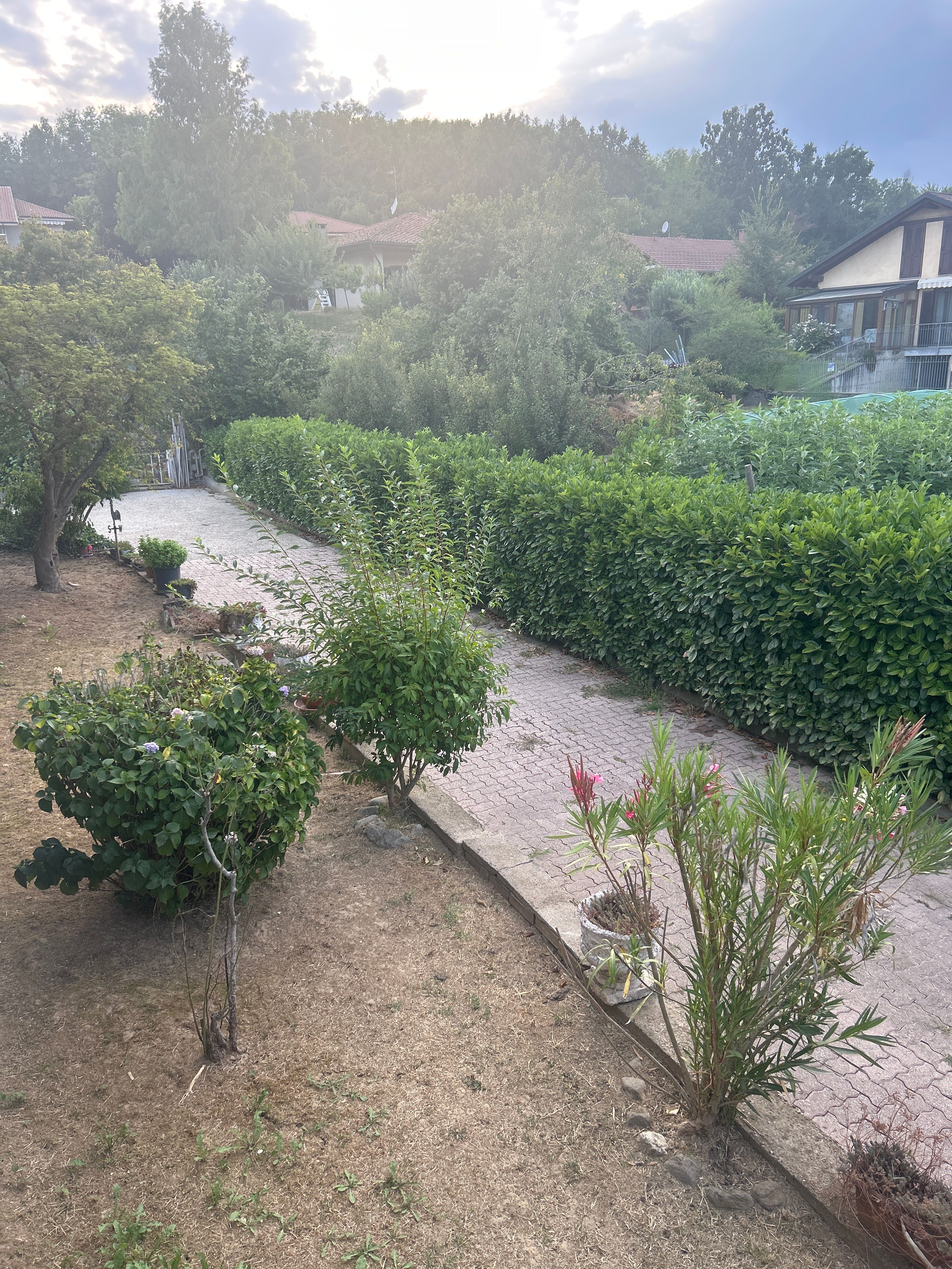 image-21