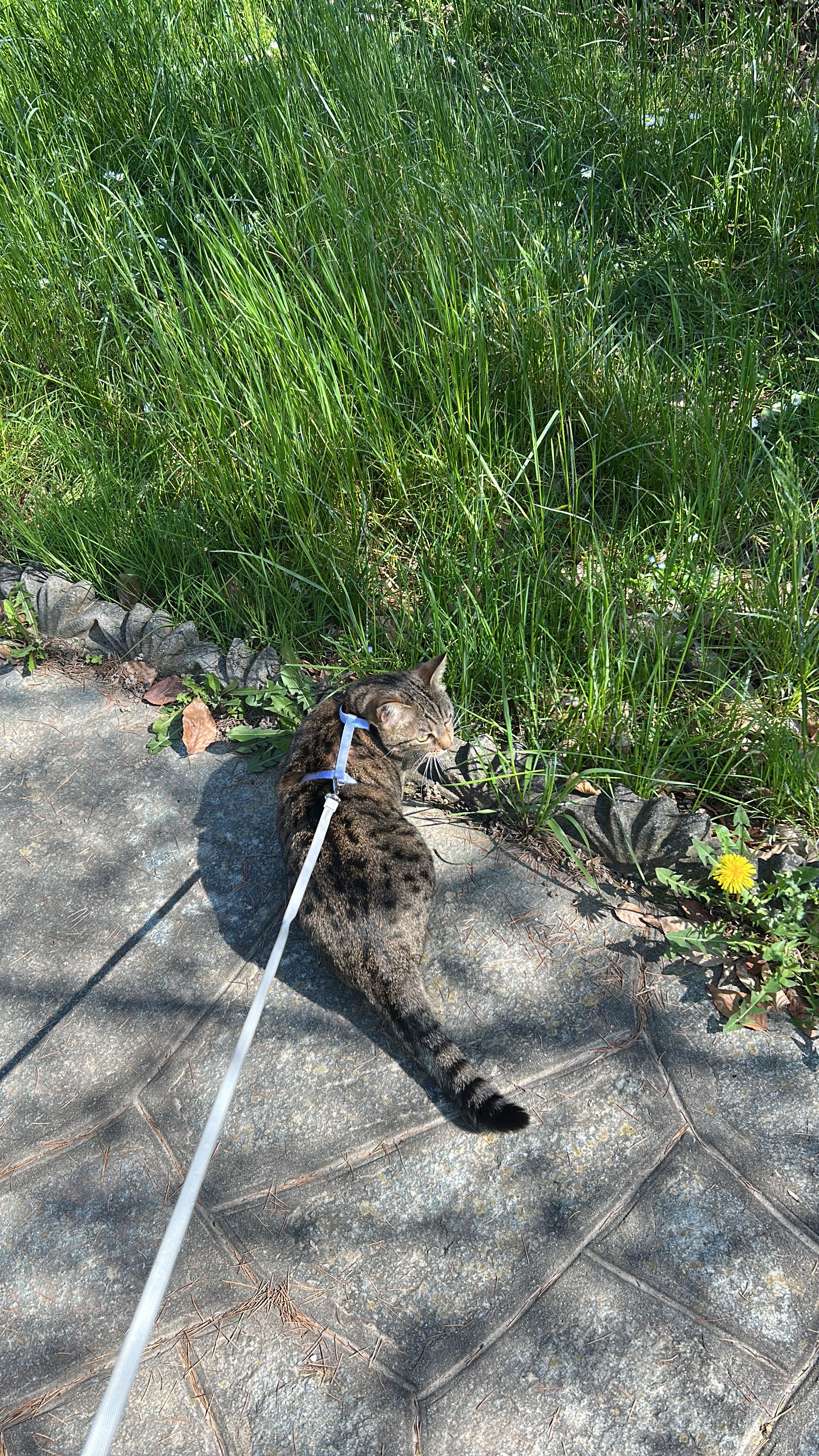 image-5