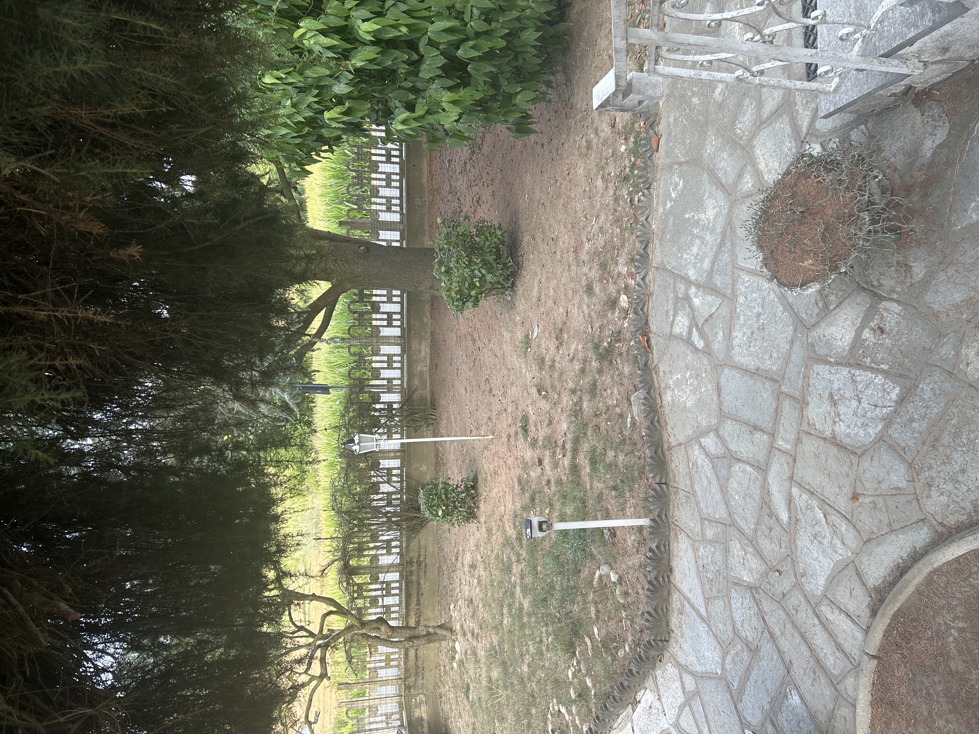 image-18