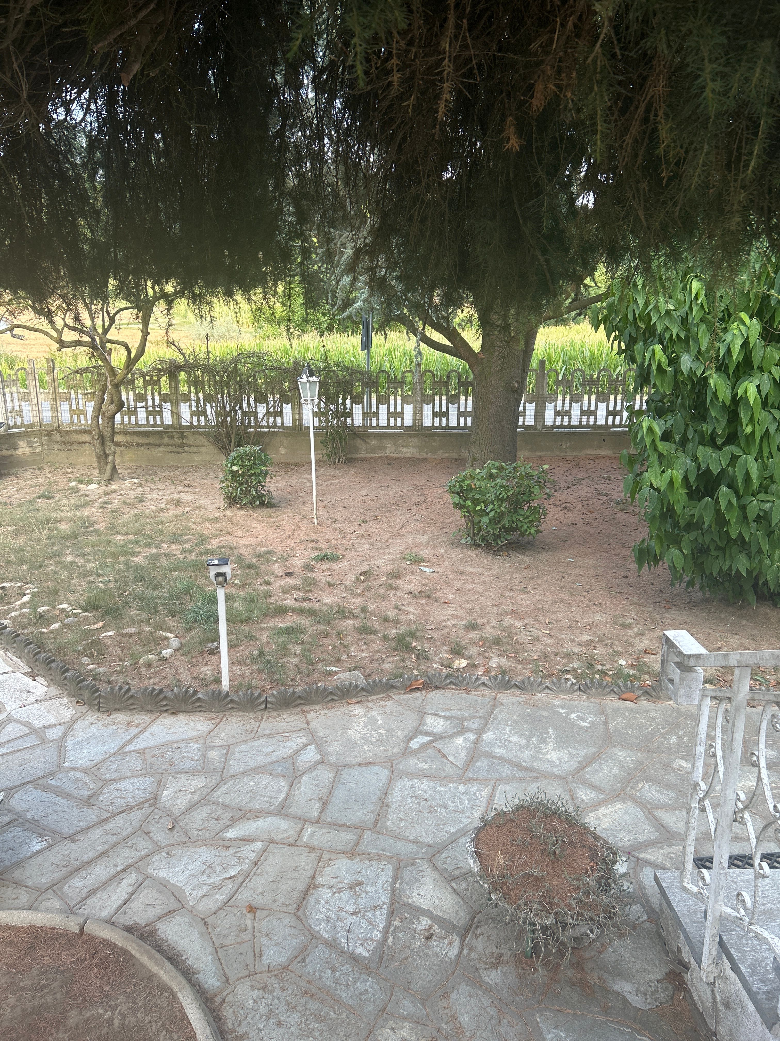 image-18