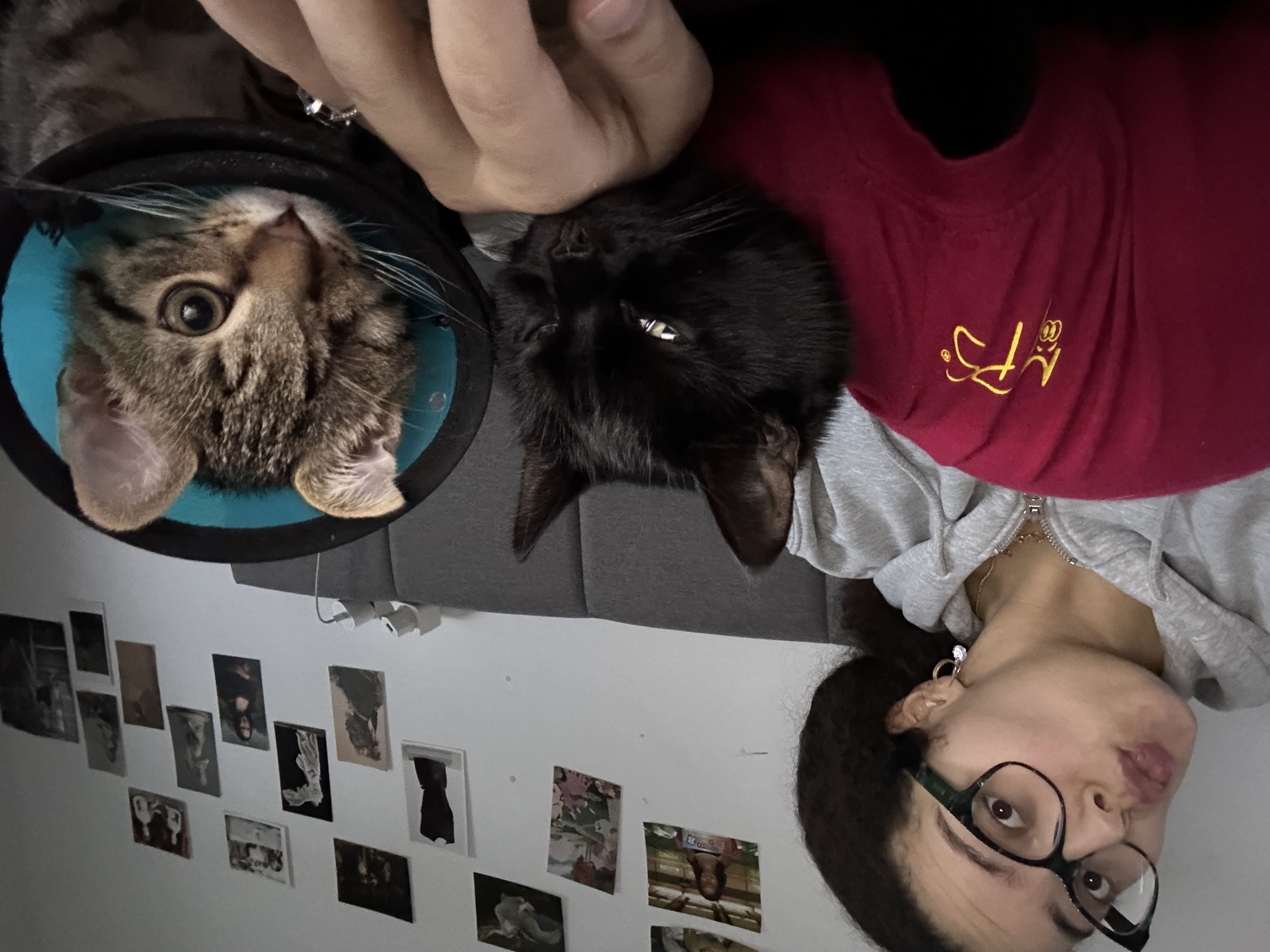 image-7