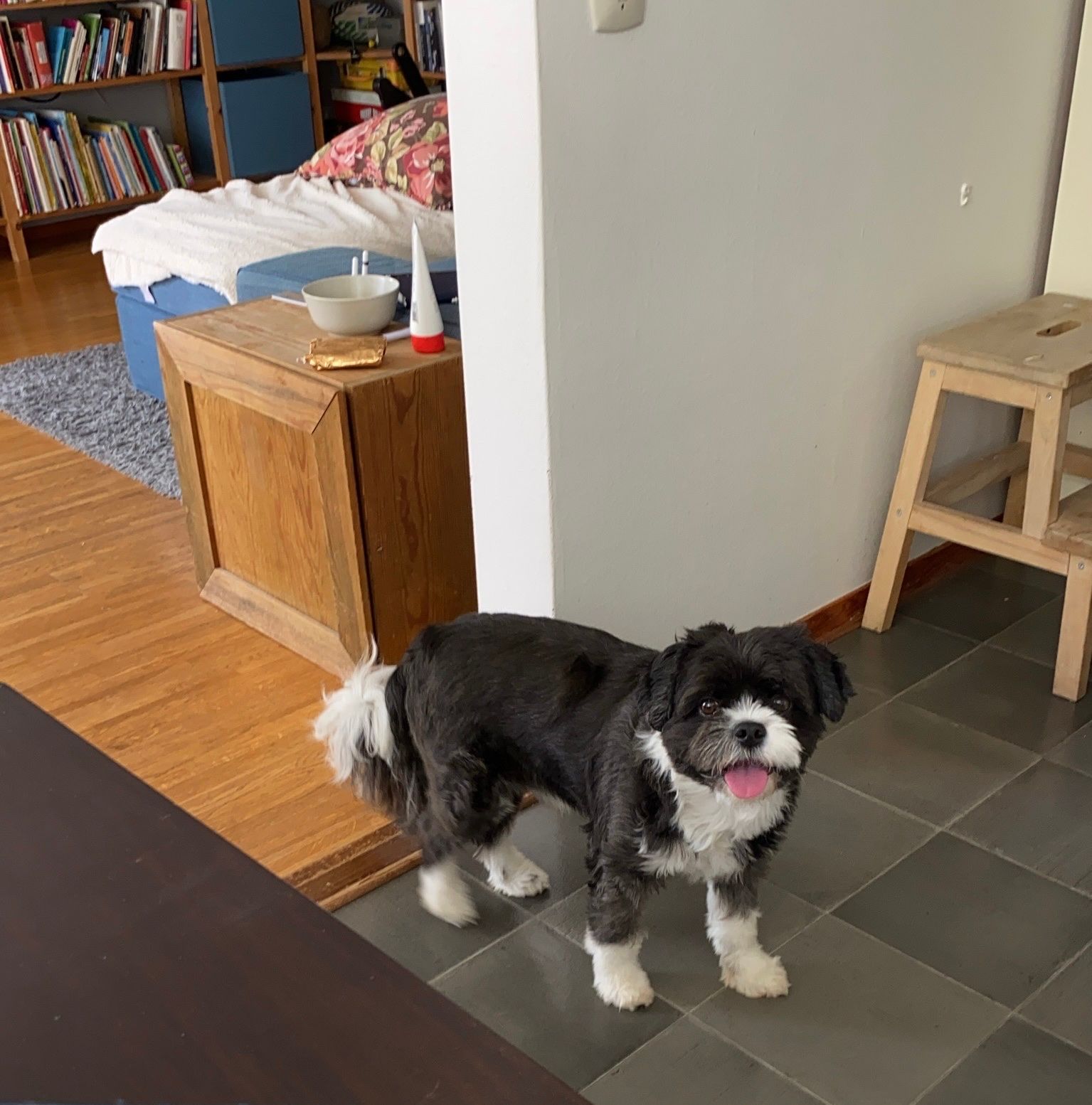 image-14