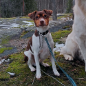 Vitka