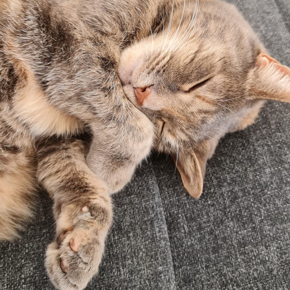 Tilly