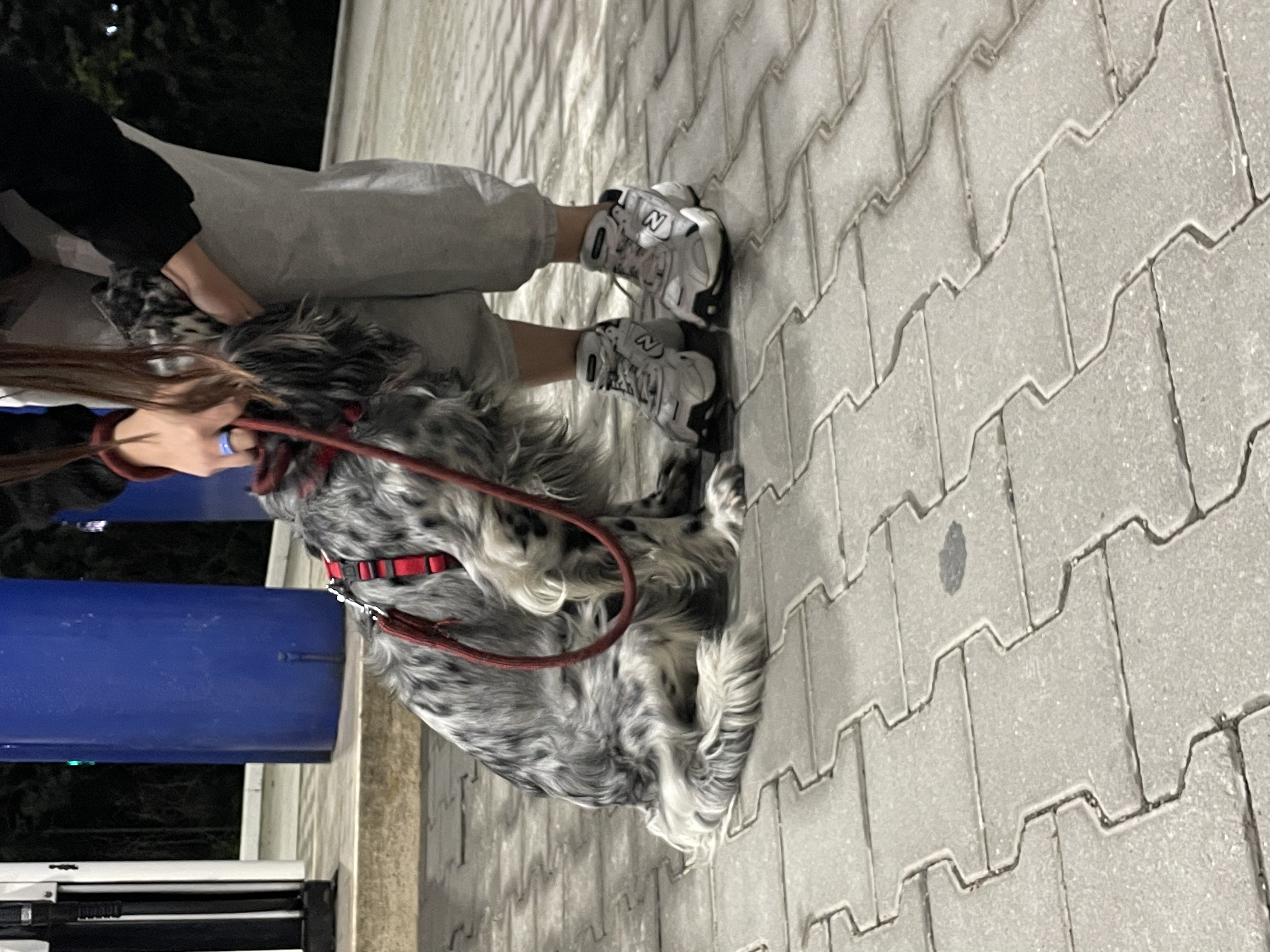 image-13