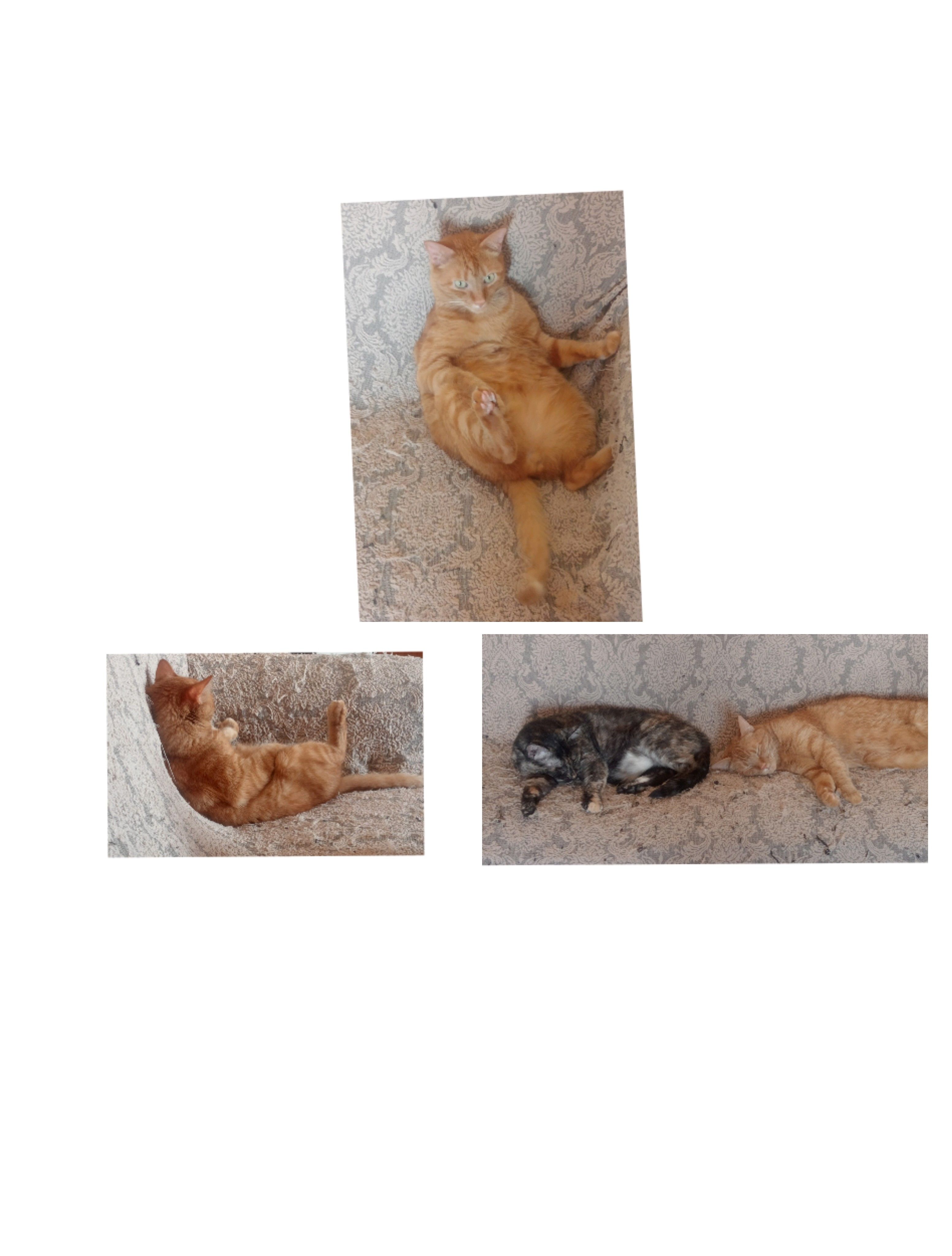 image-10