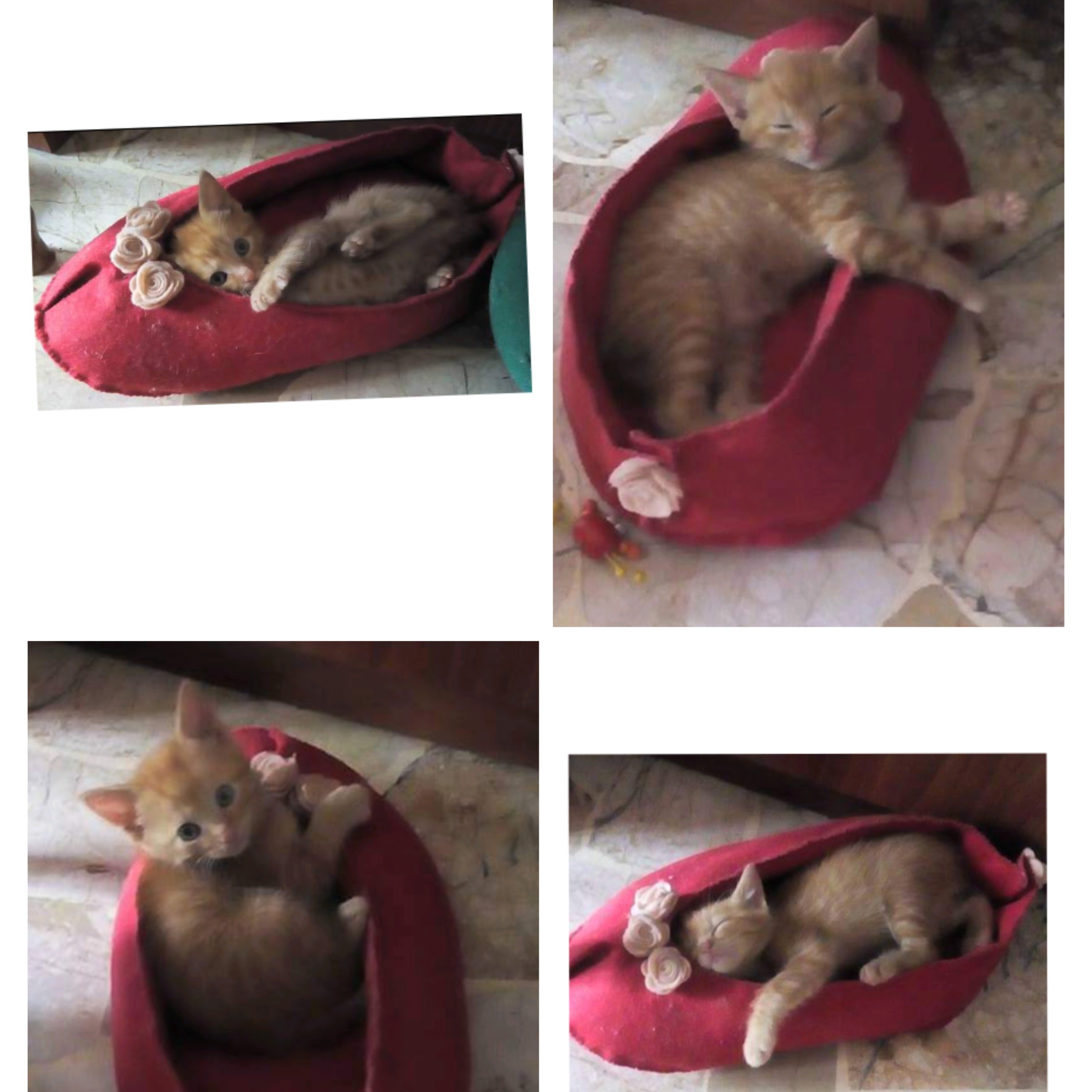 Bijoux