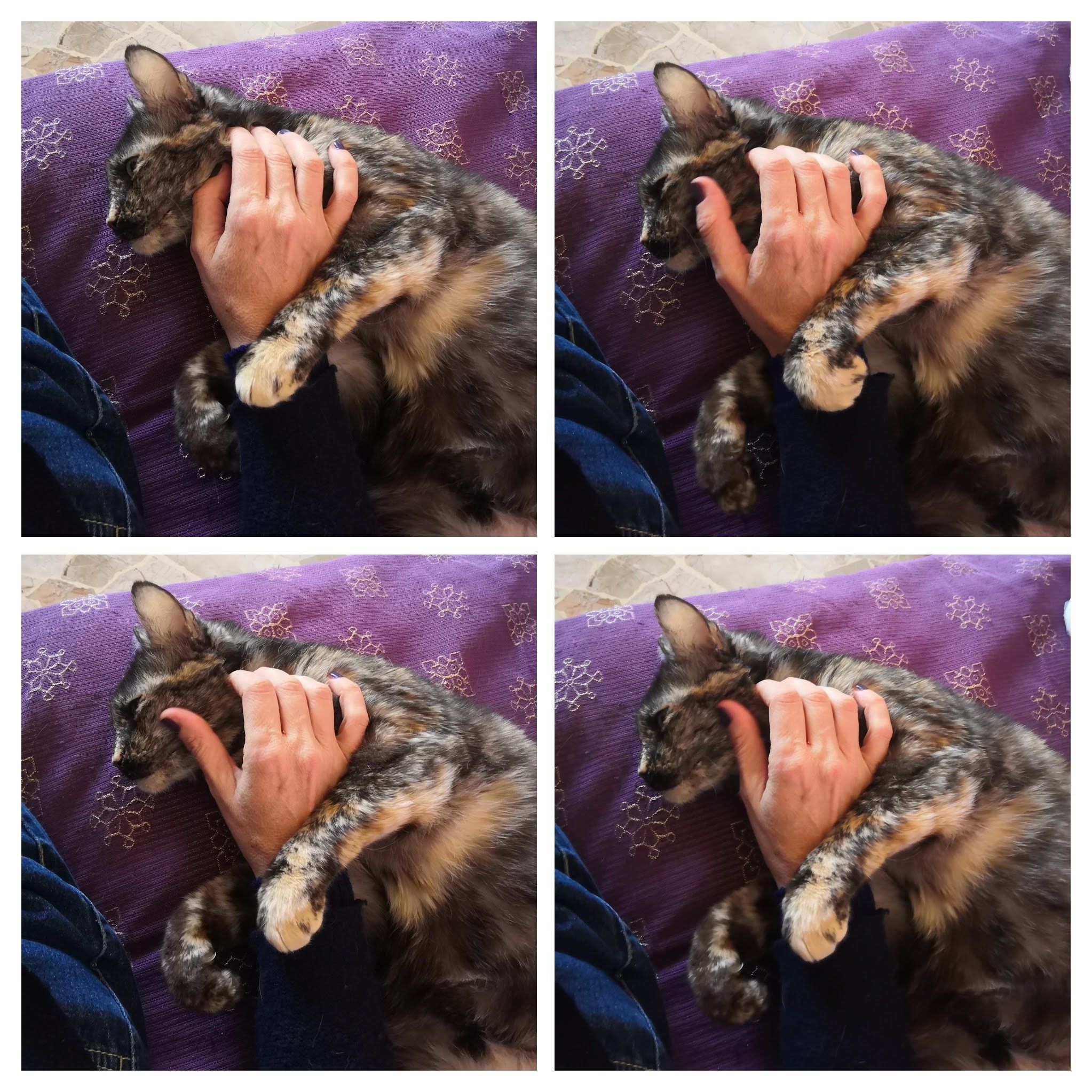image-11