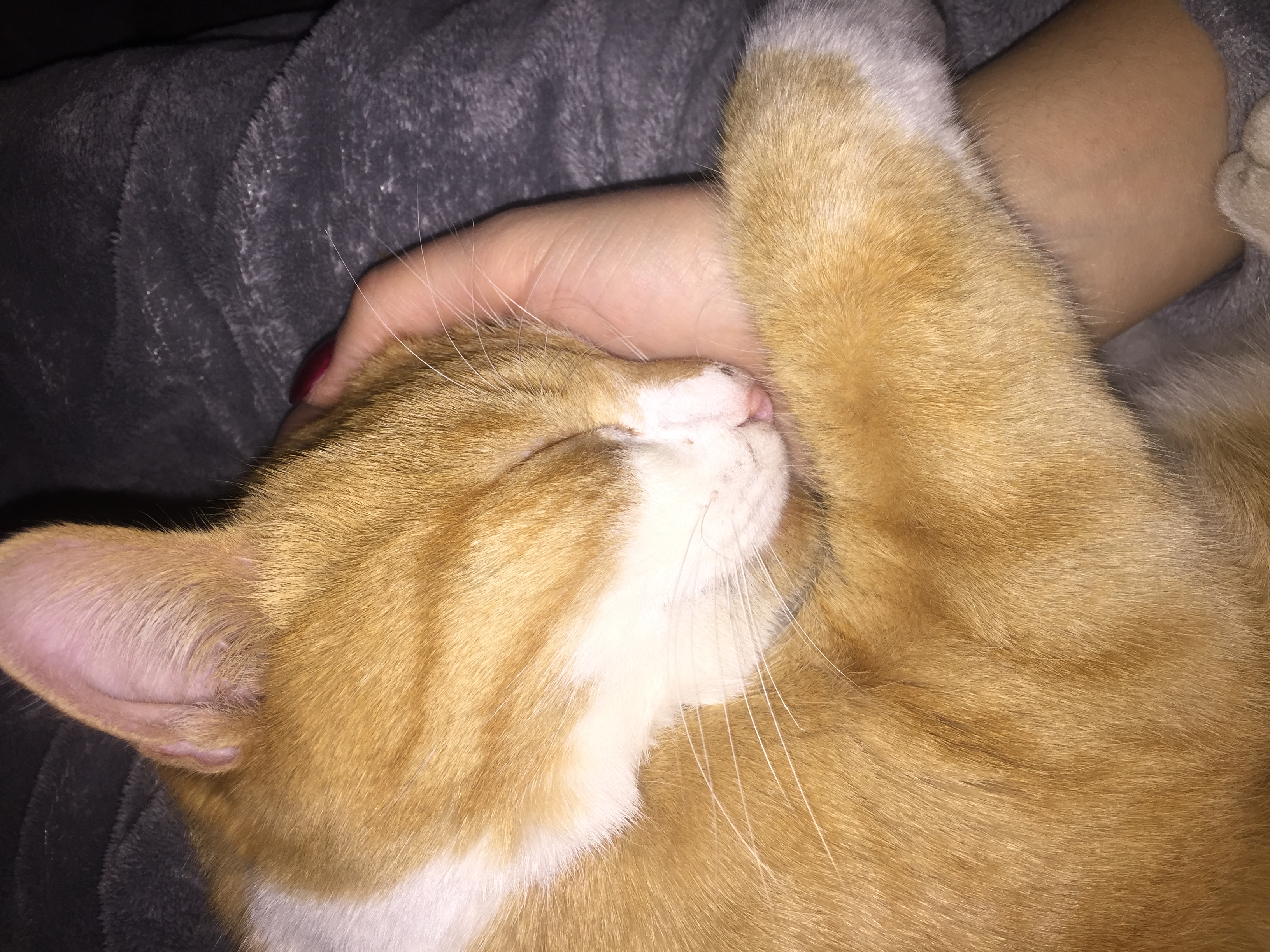 image-6