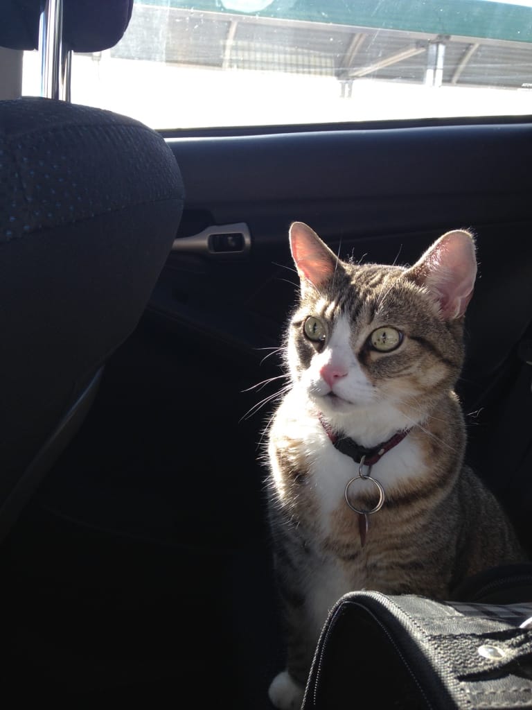 image-8