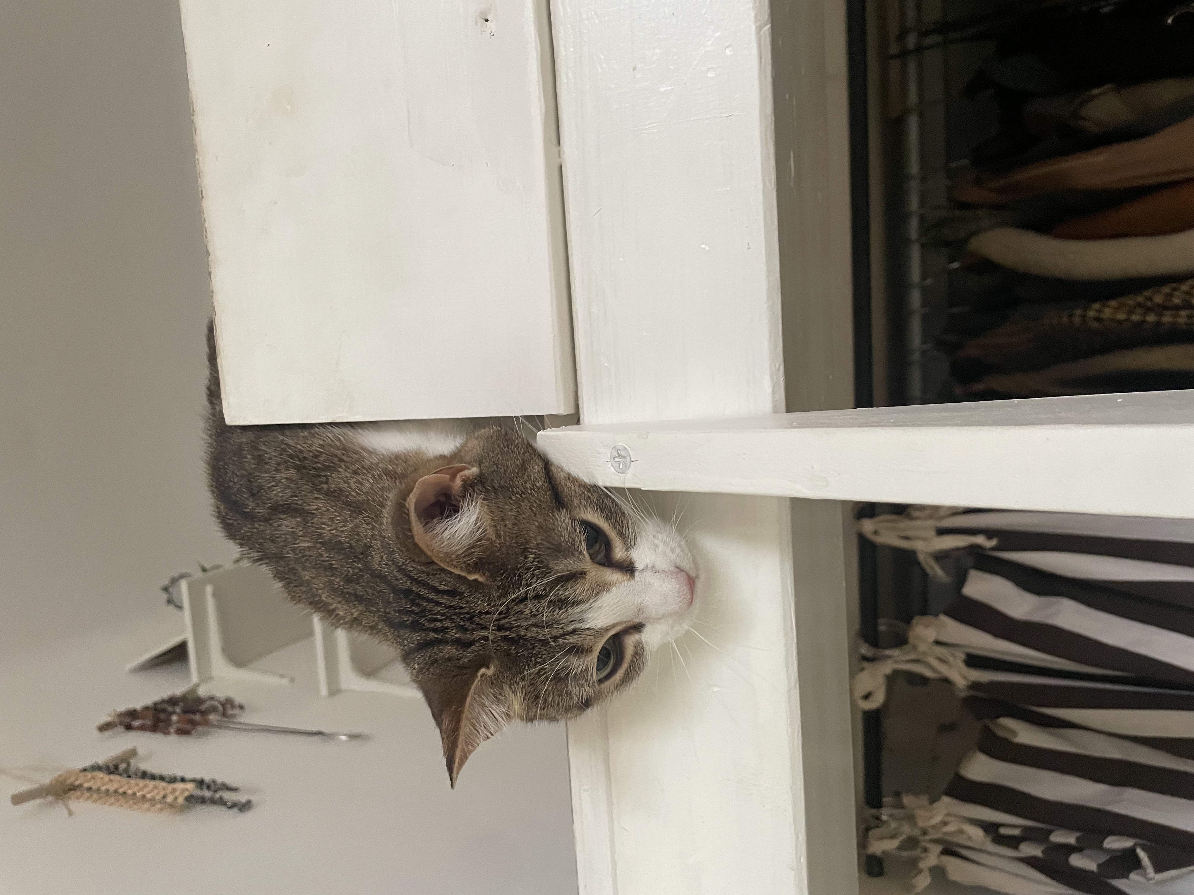 image-6