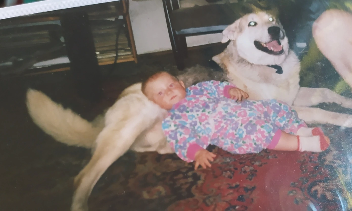 image-15