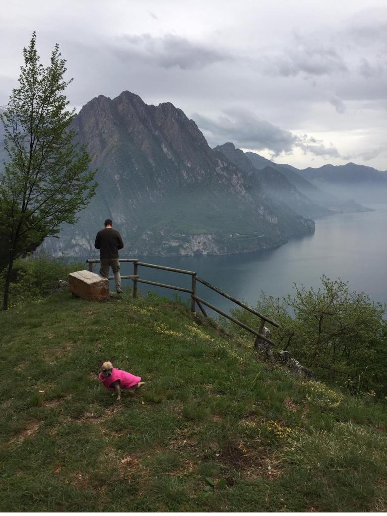 image-3