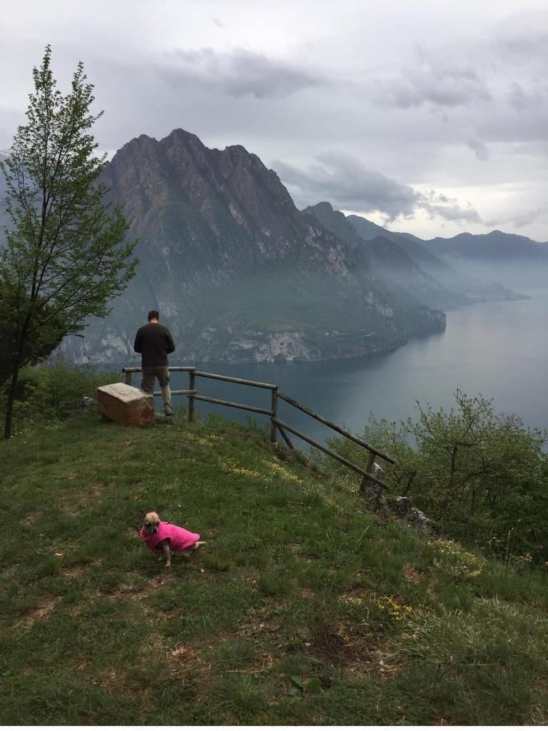 image-3