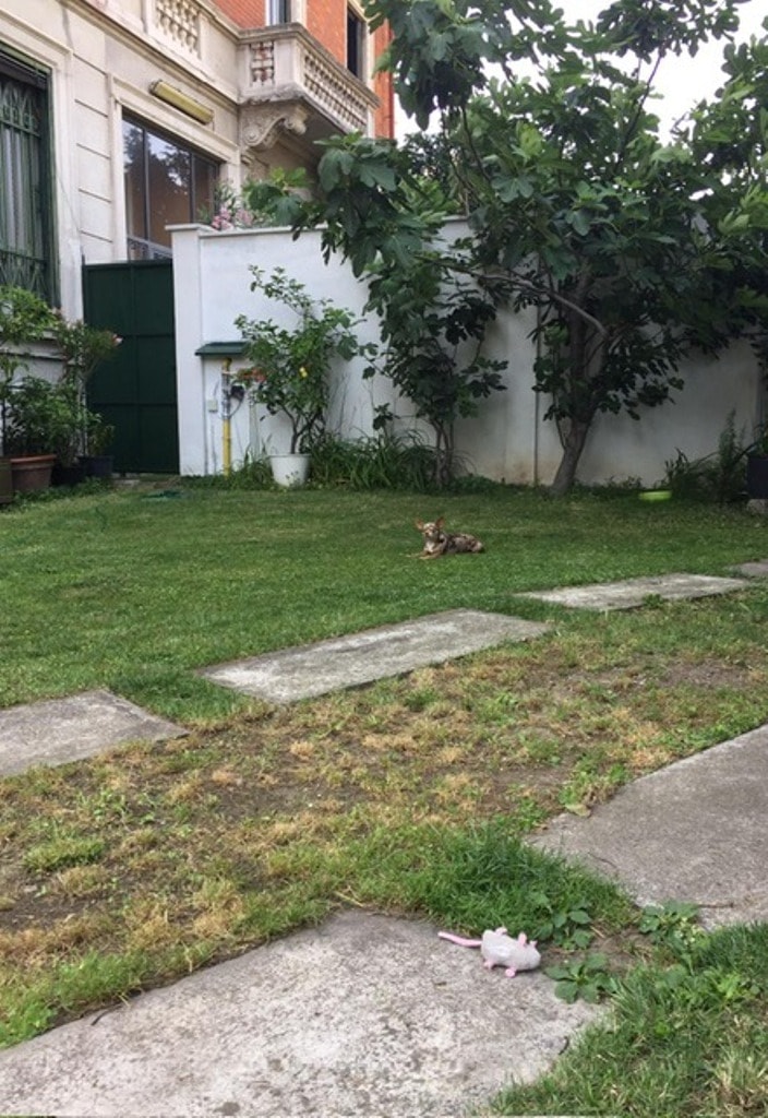 image-15