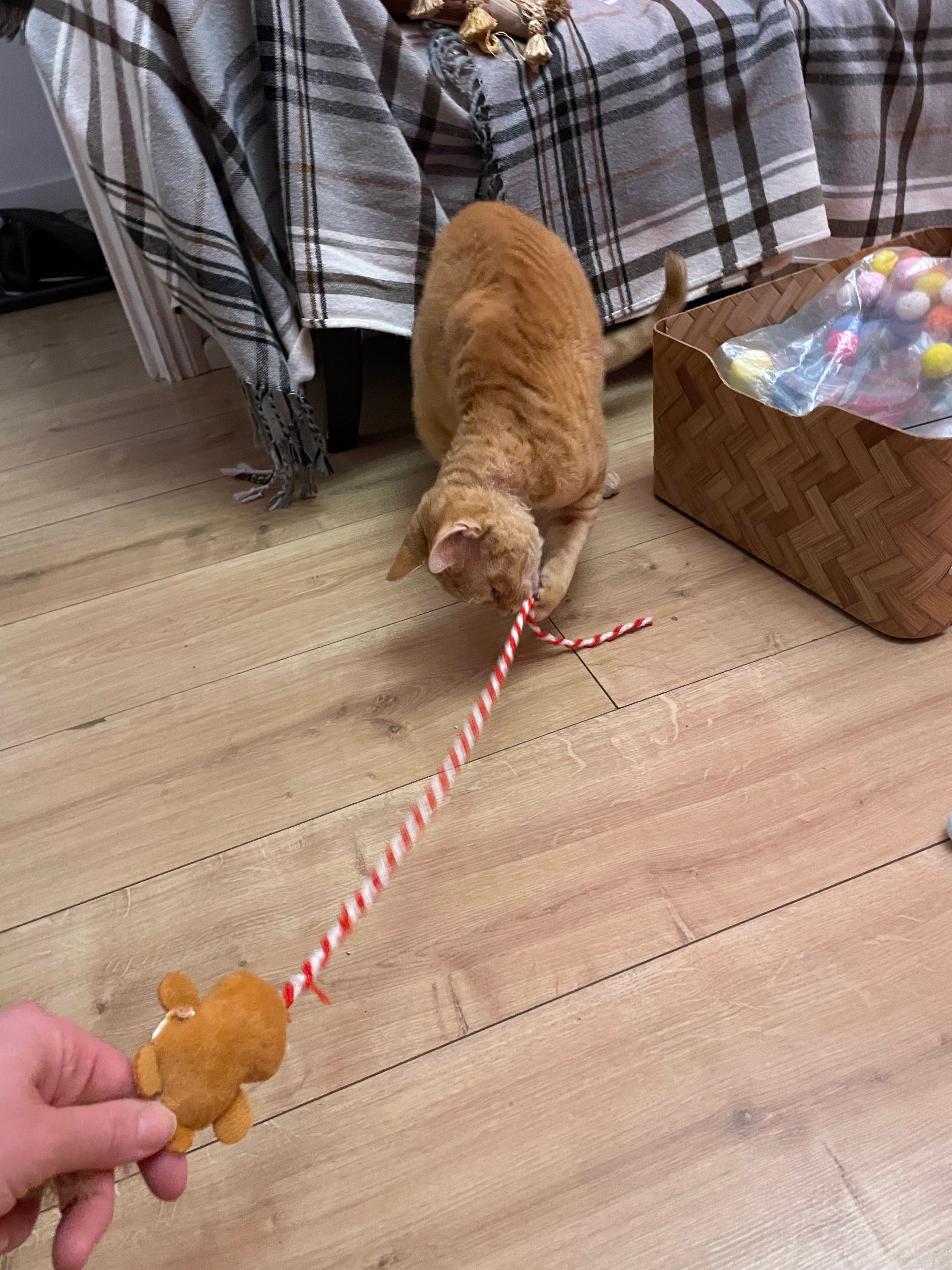 image-8