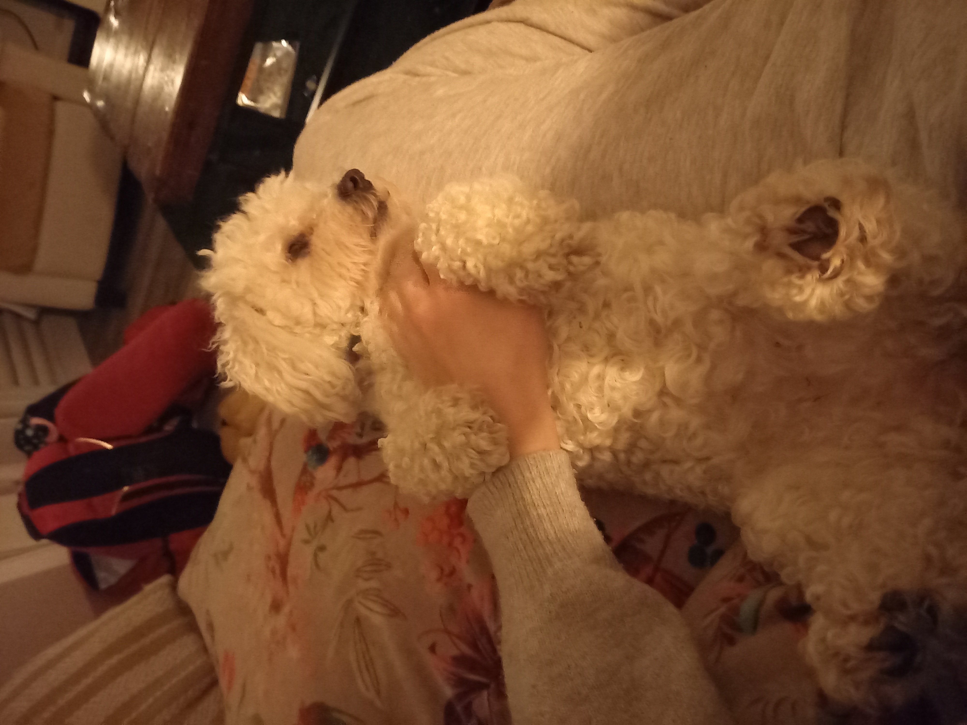 image-7
