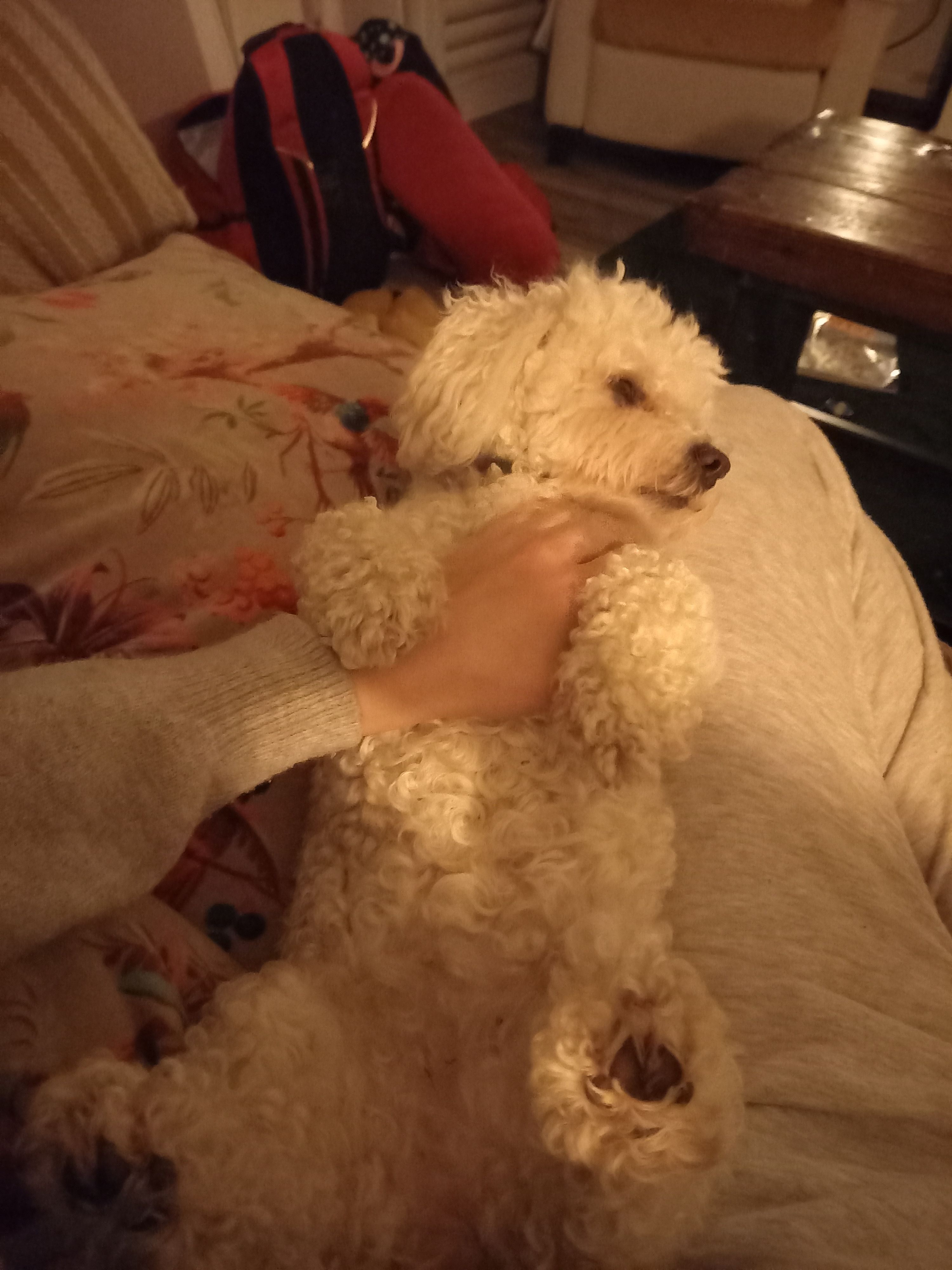 image-7