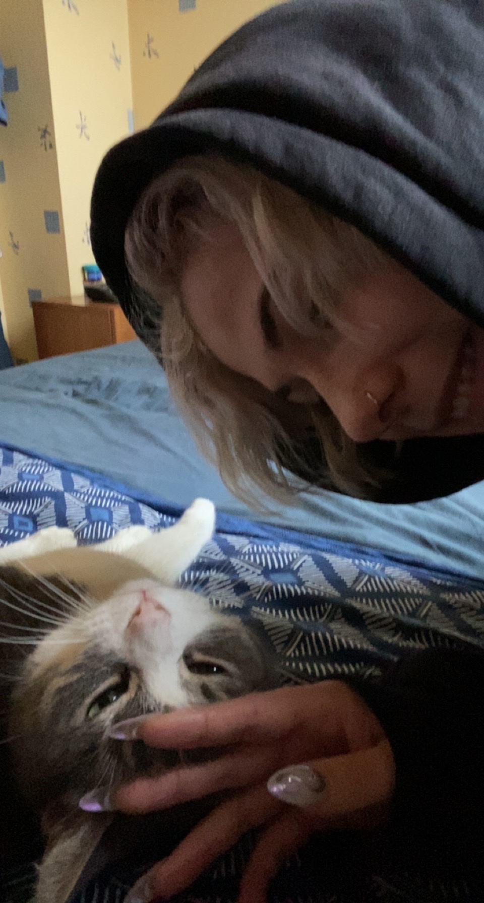 image-8