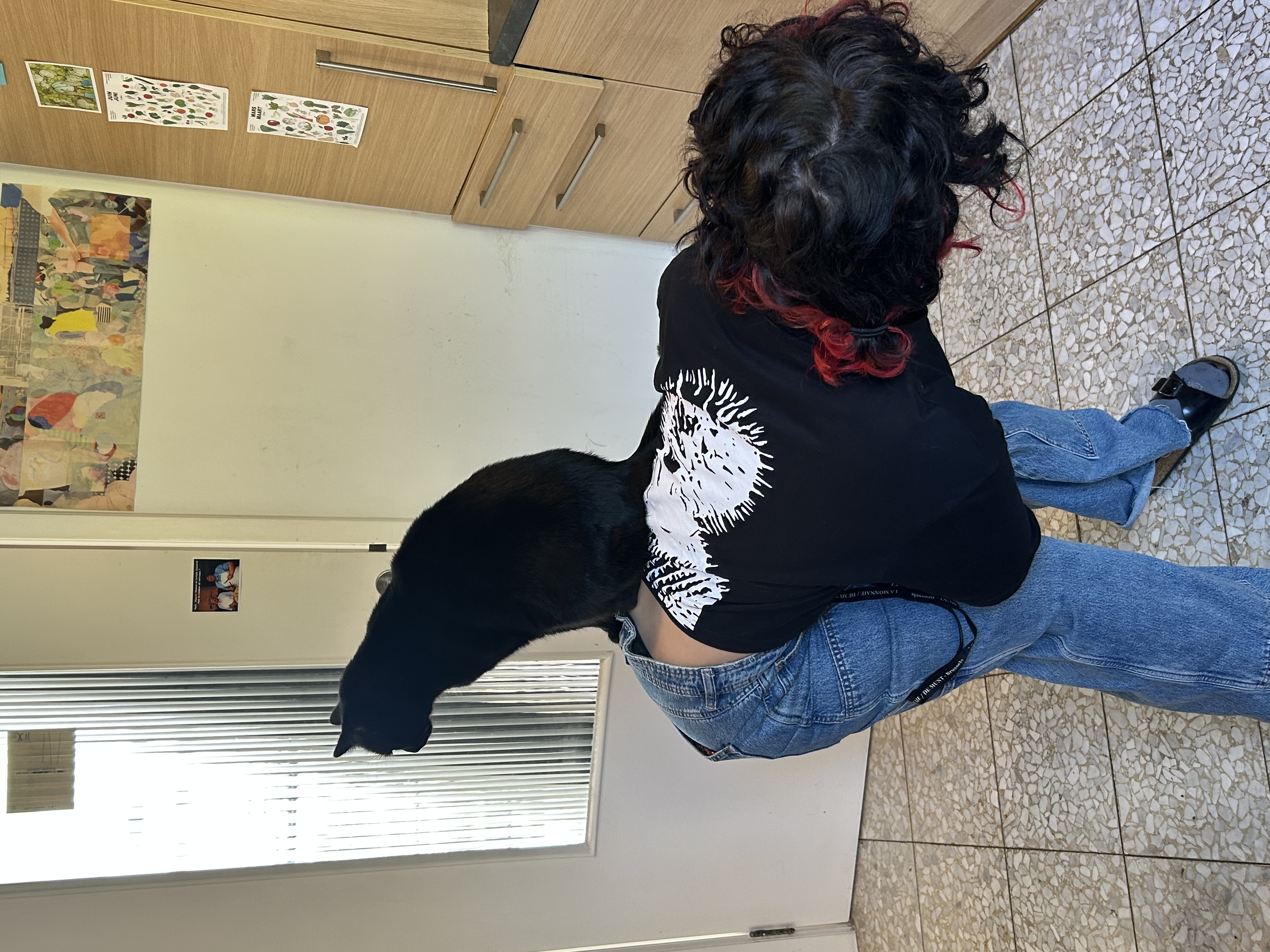 image-6