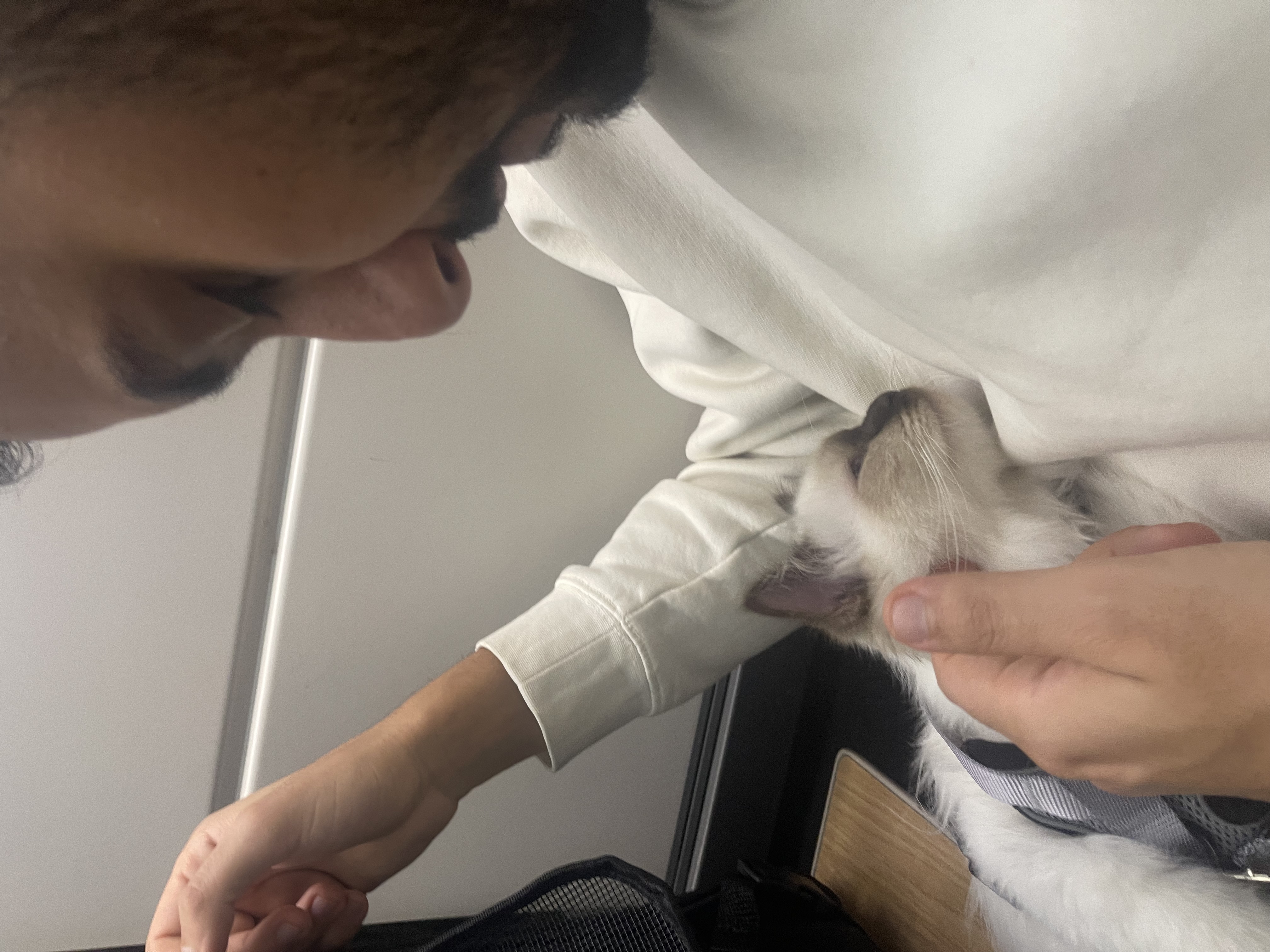 image-6