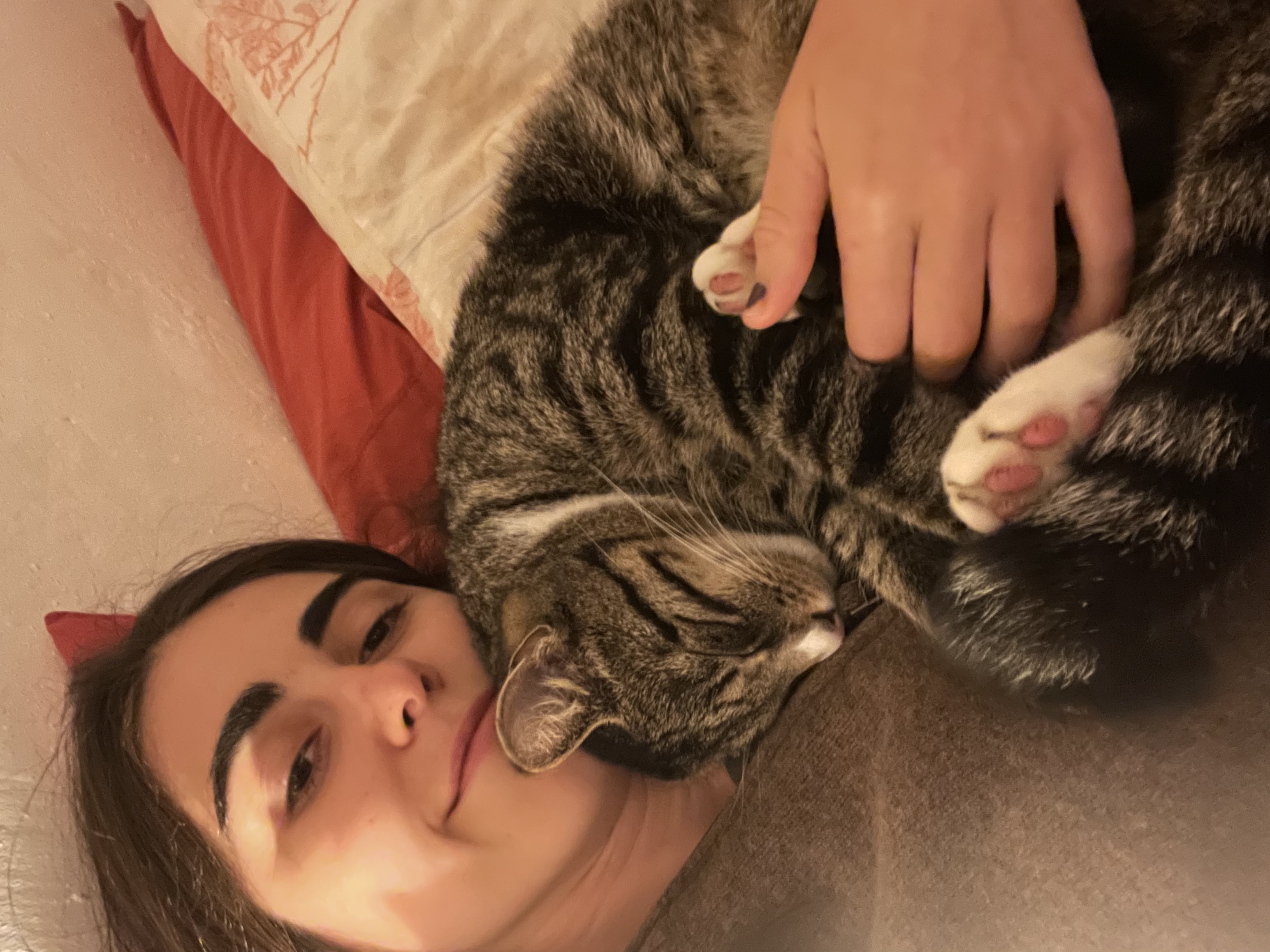 image-6