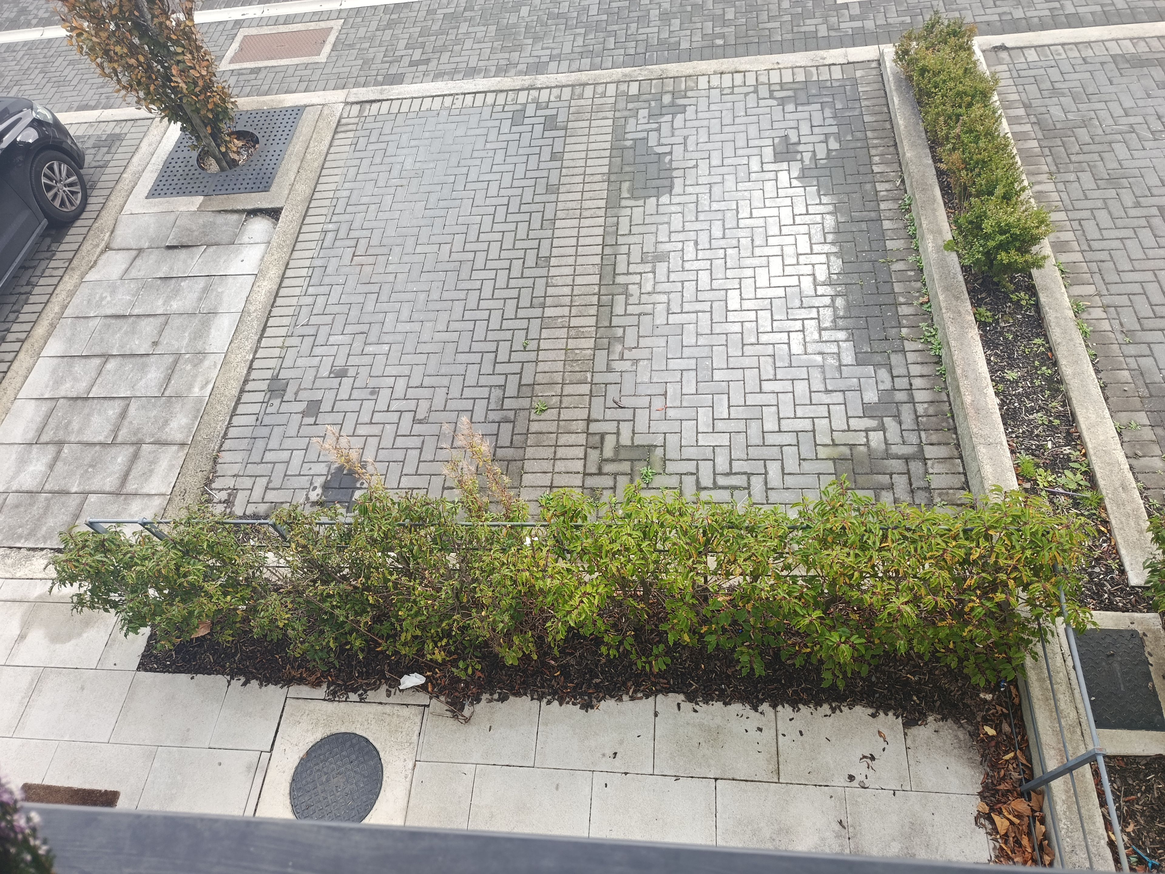 image-10