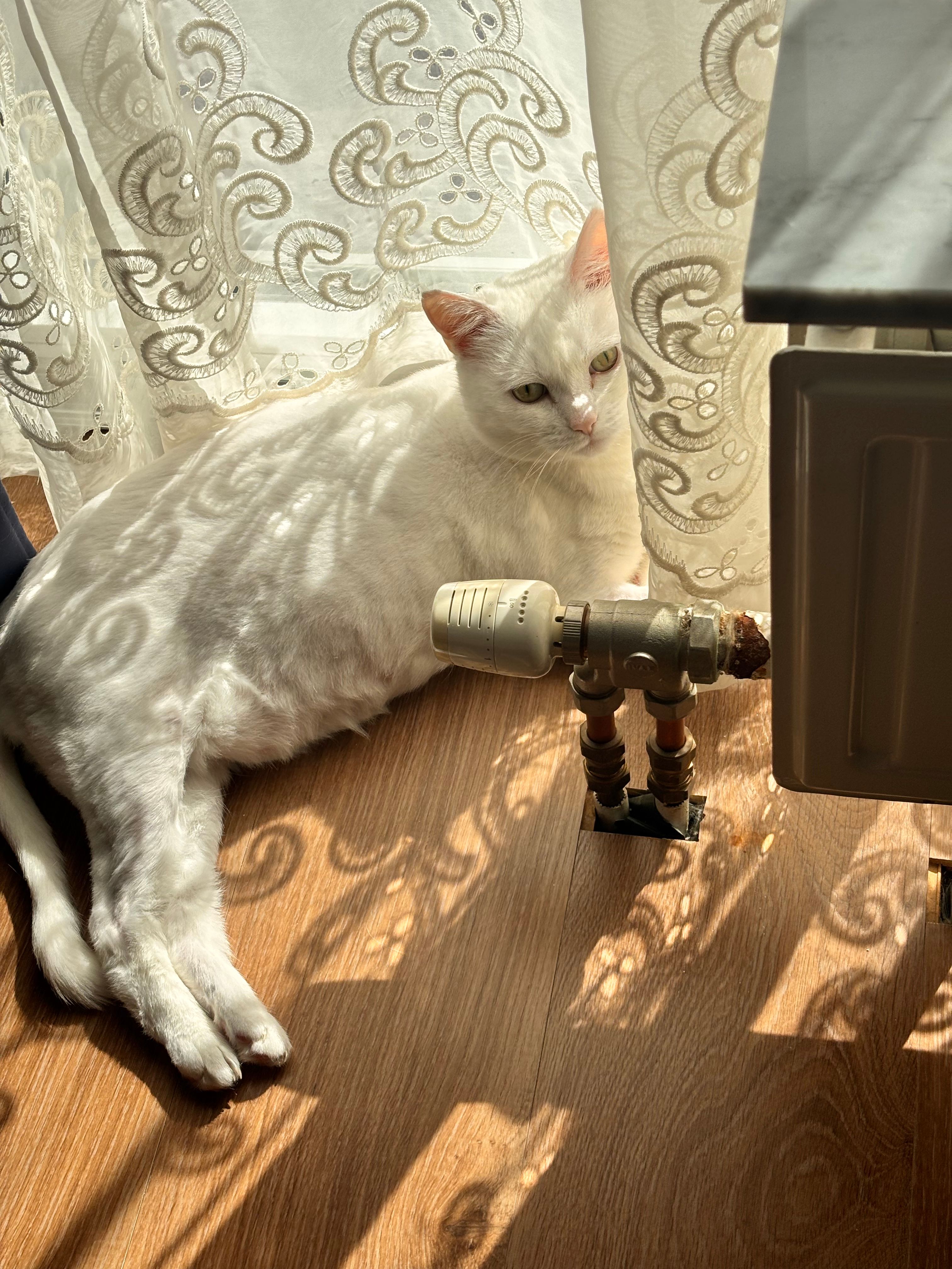 image-16
