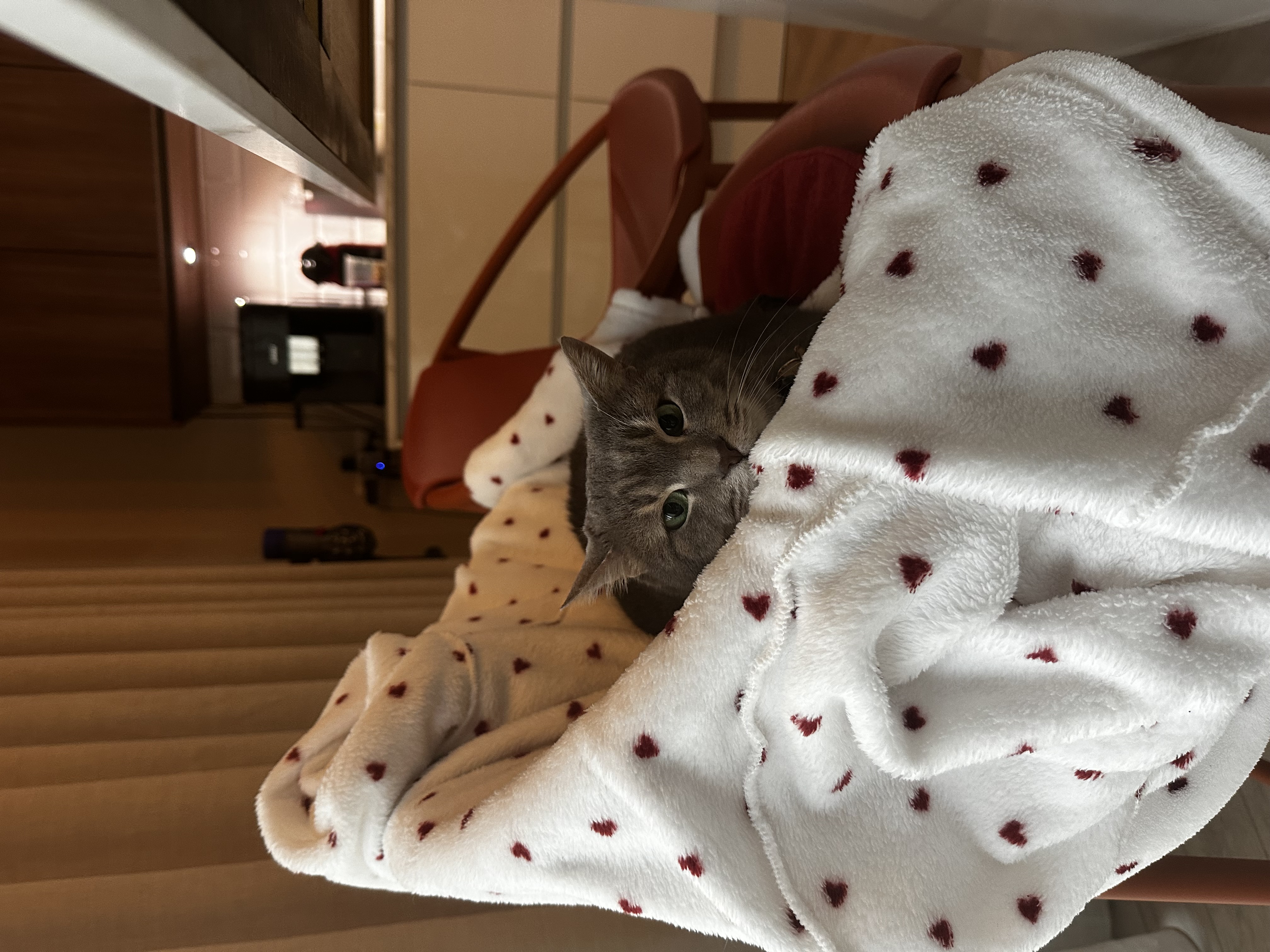image-7