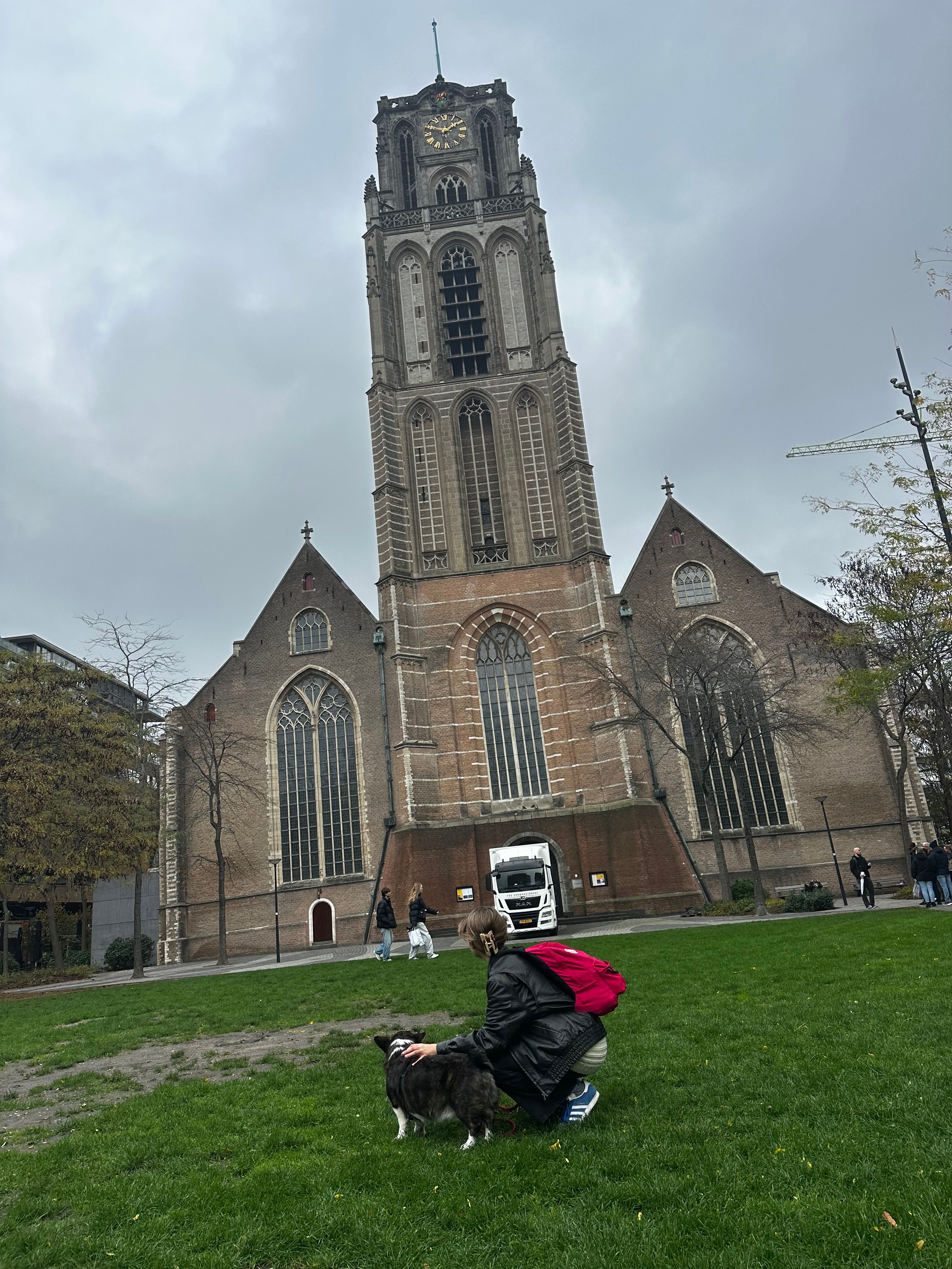 image-8