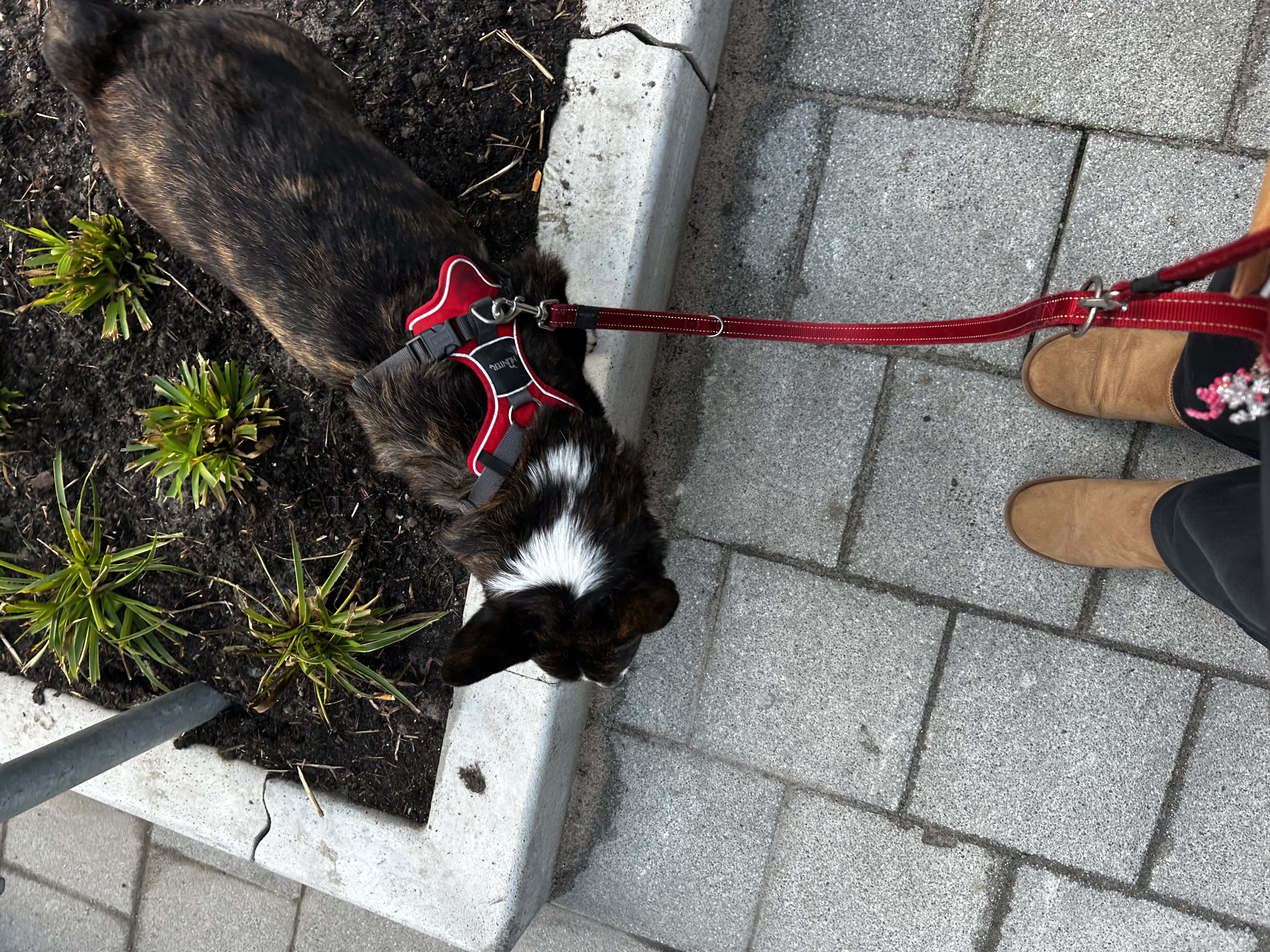 image-6