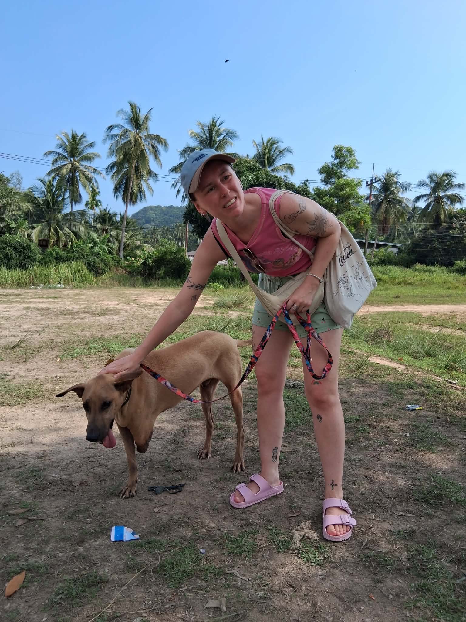 image-7