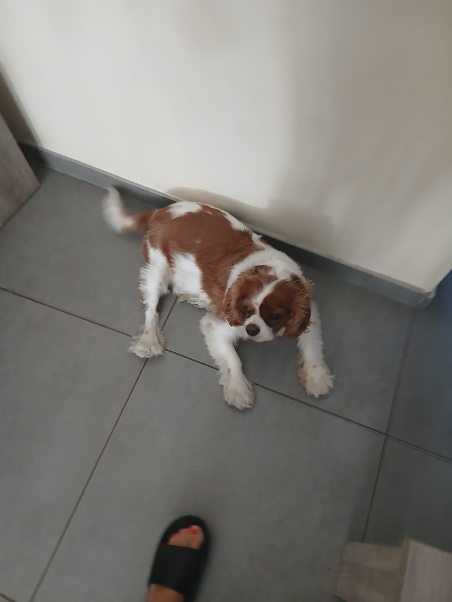 image-11